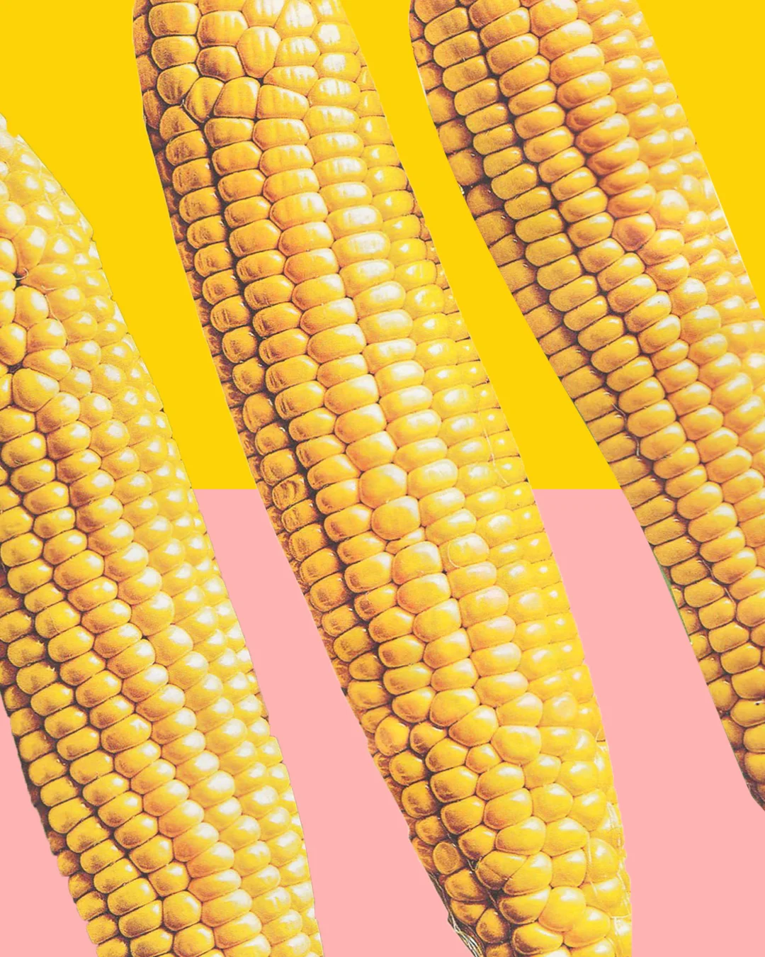 SWEETCORN PROPER.jpg
