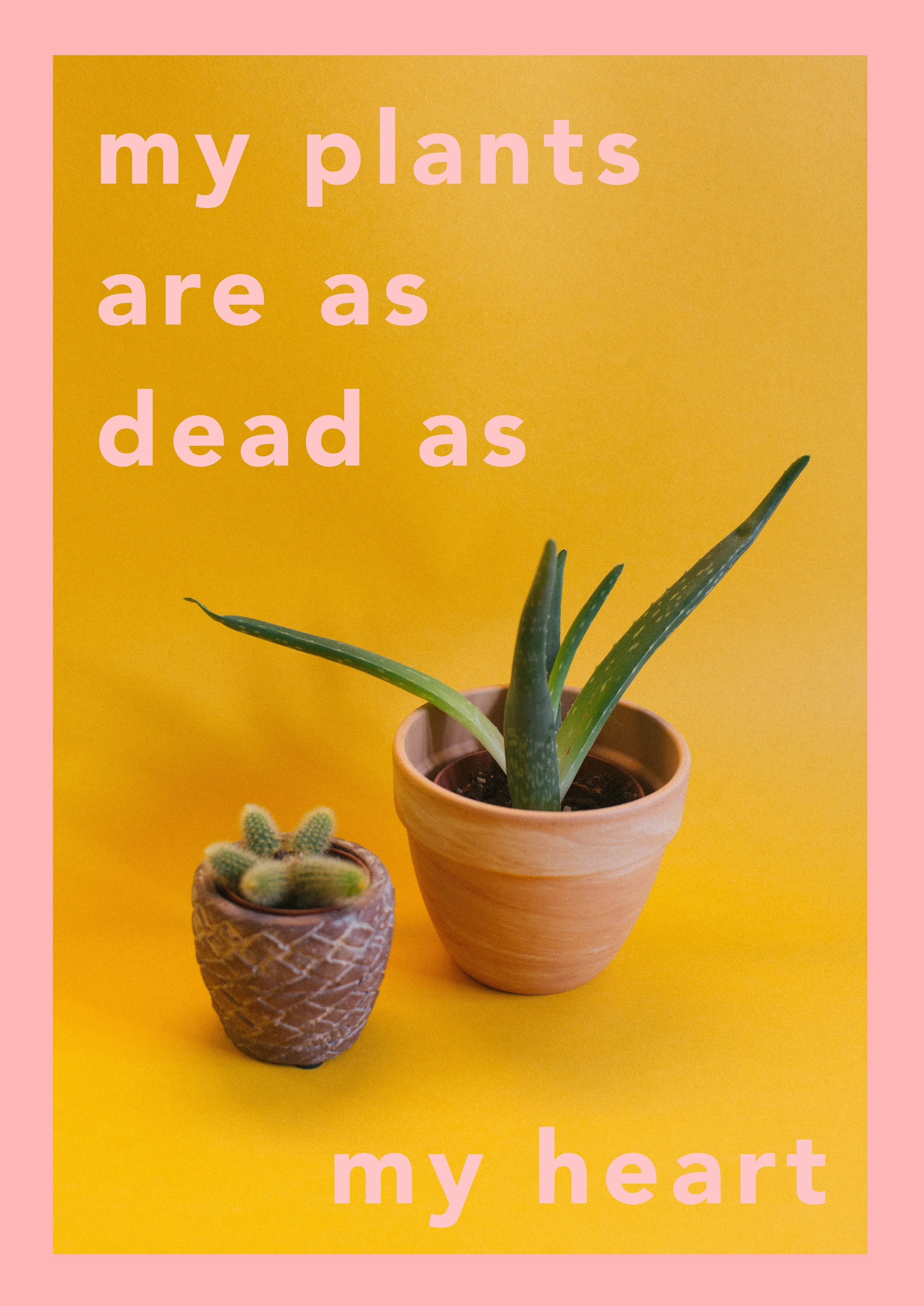PlantsRdead.jpg