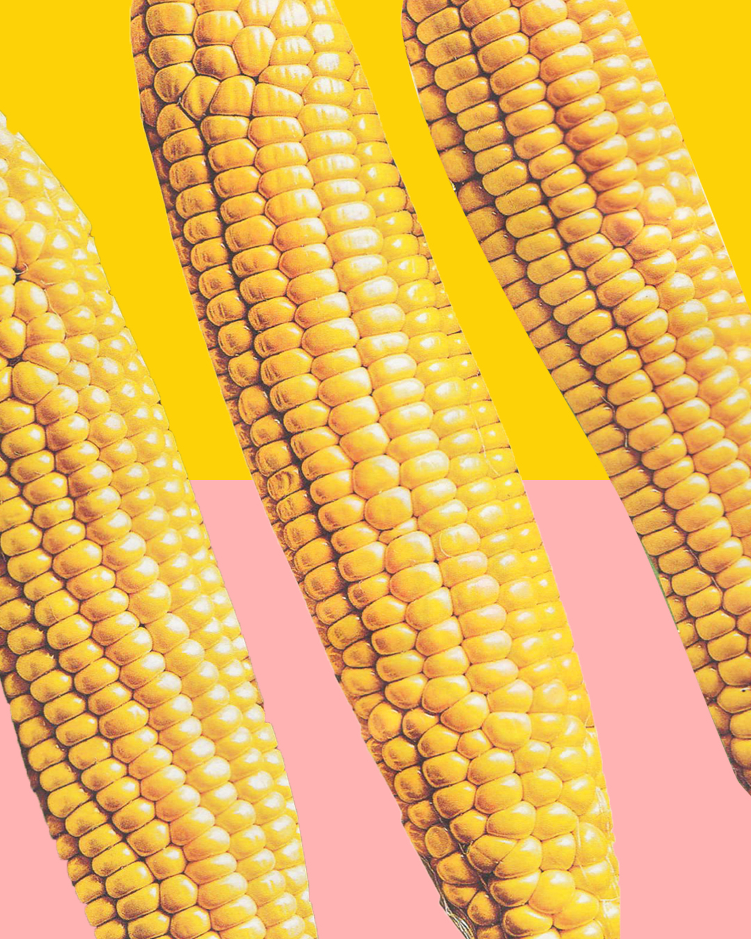 SWEETCORN PROPER.jpg