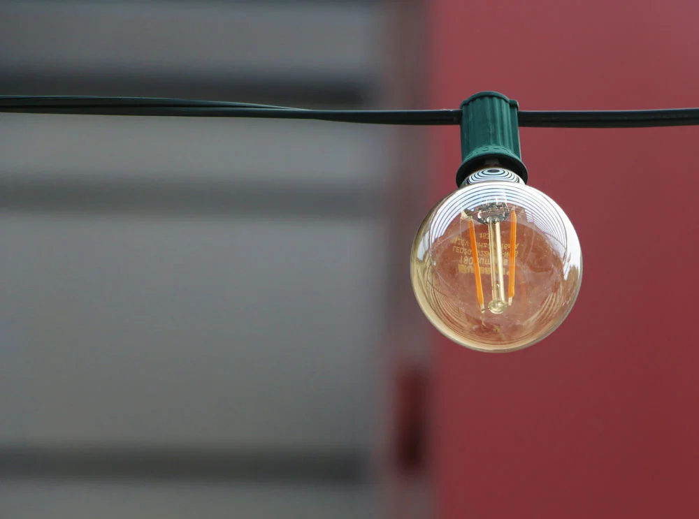 Bulb.jpg