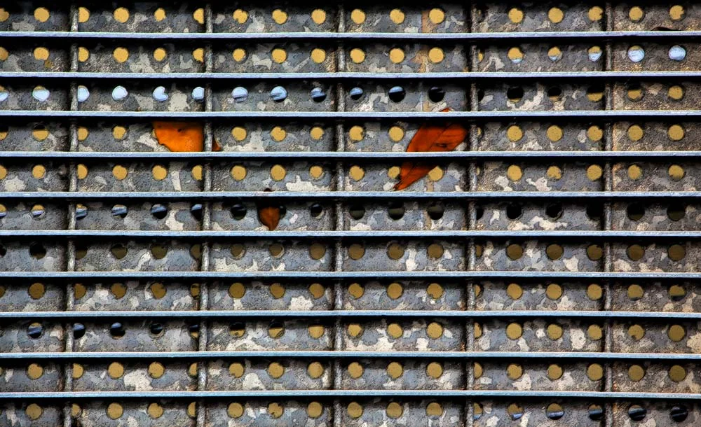 Leaf-grate.jpg