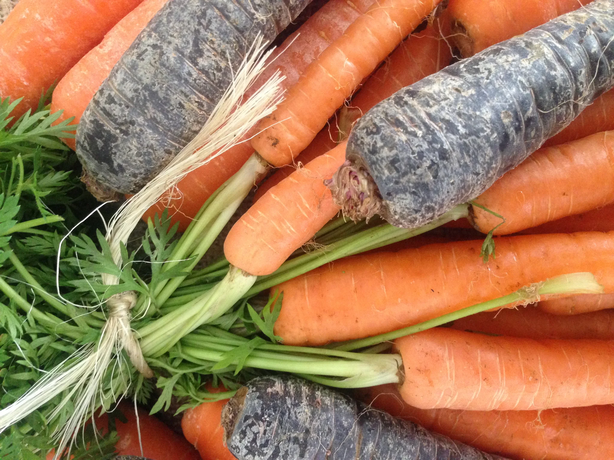 carrots