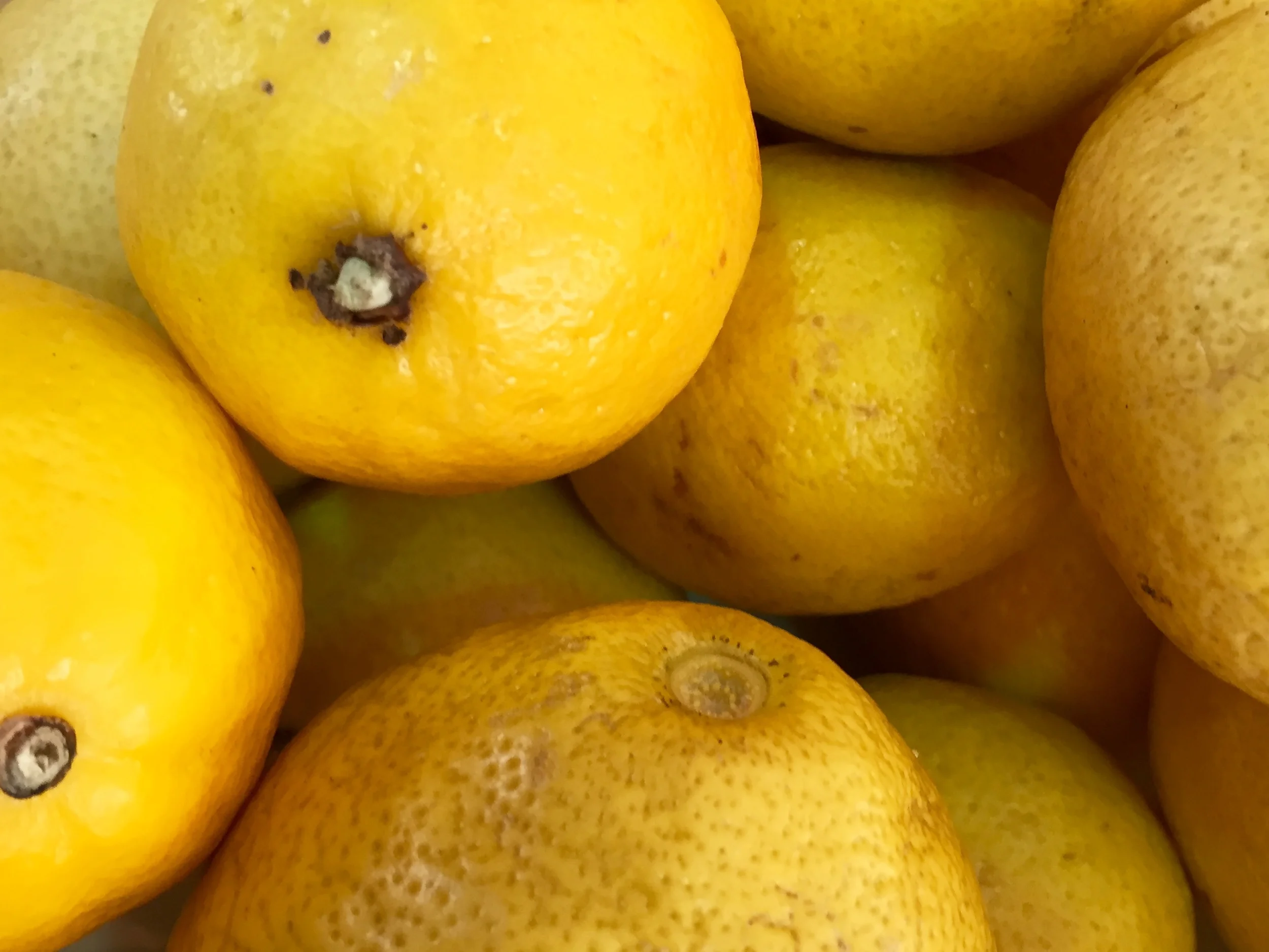 lemons