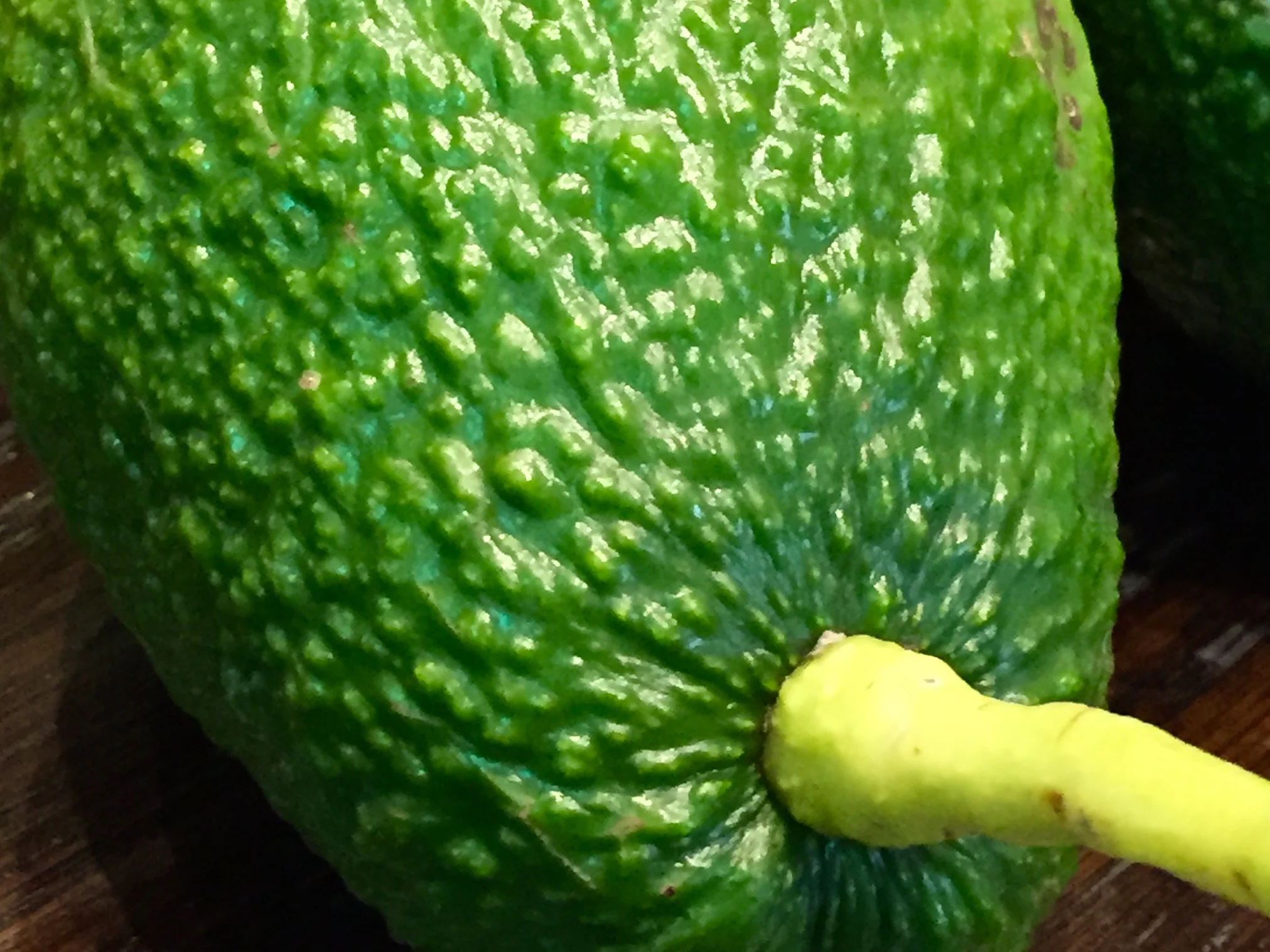 avocado