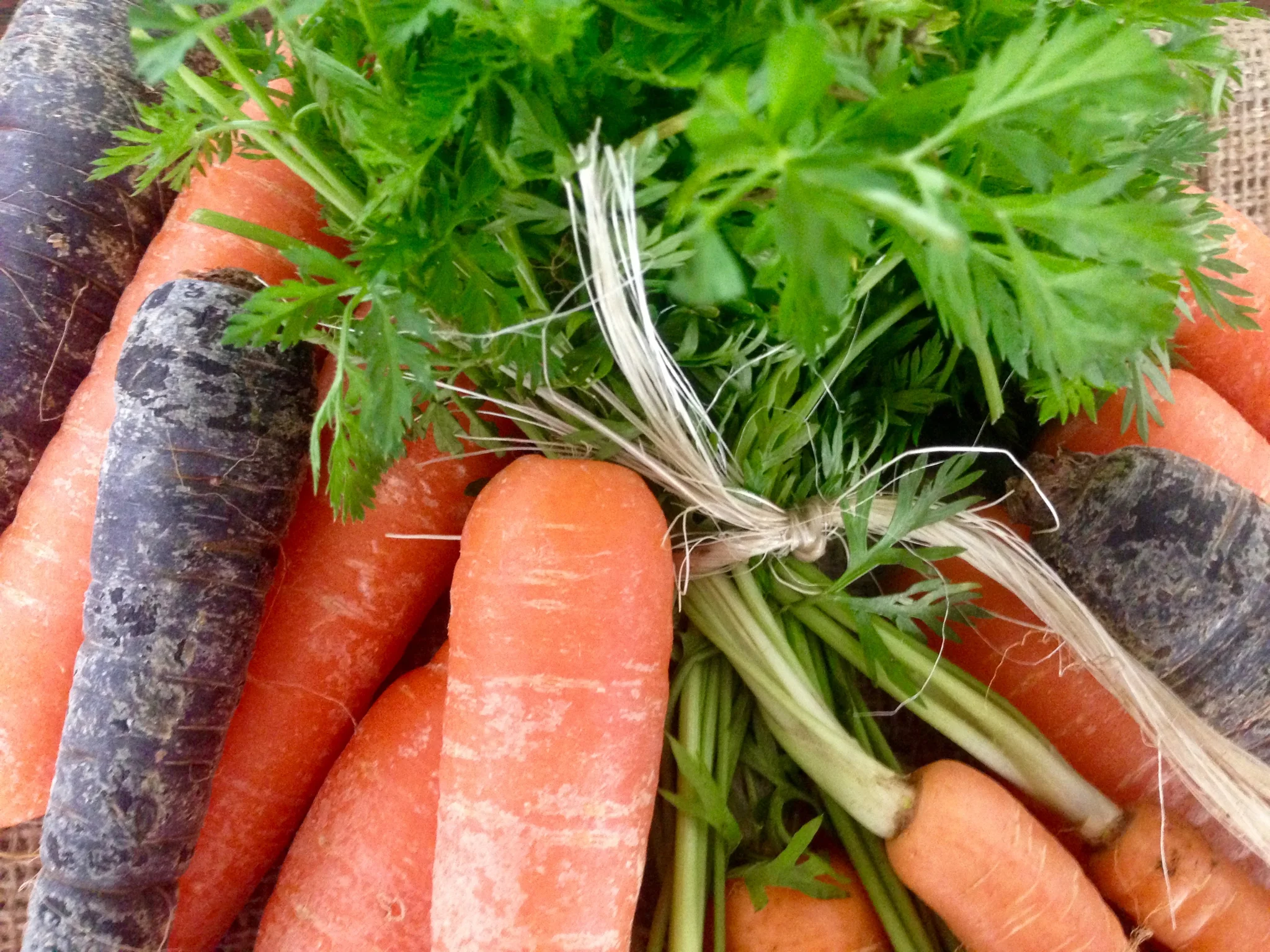 carrots
