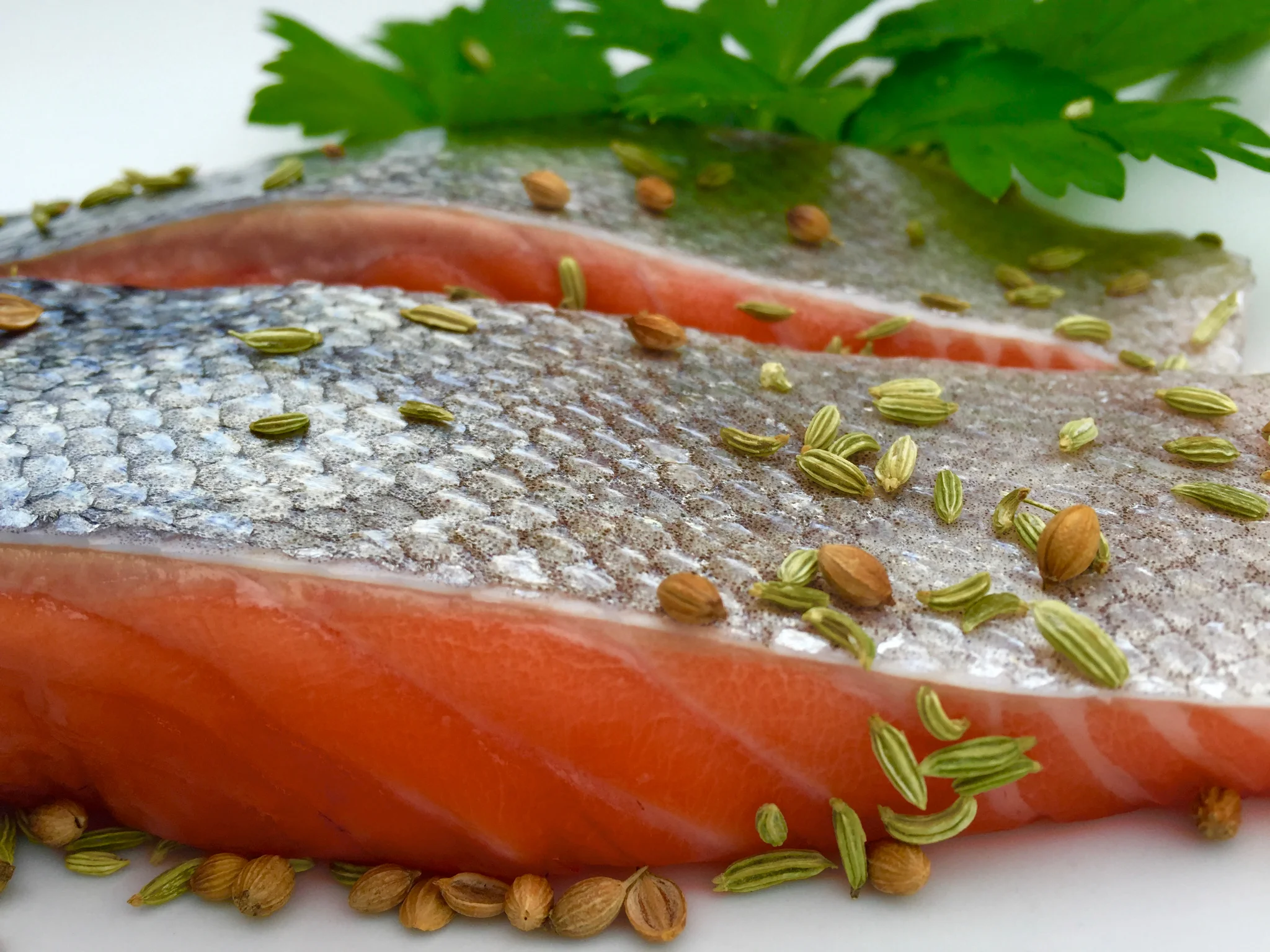 salmon fillets