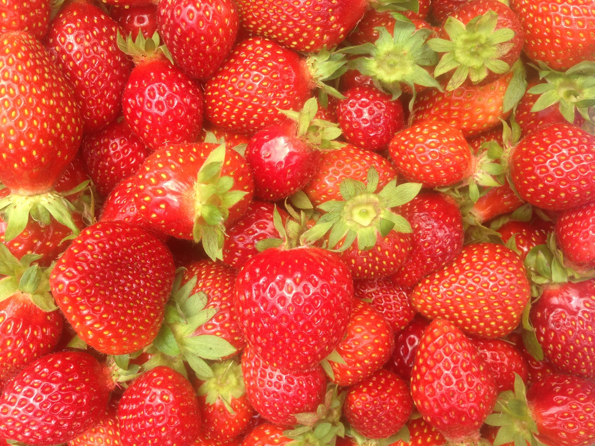 strawberries