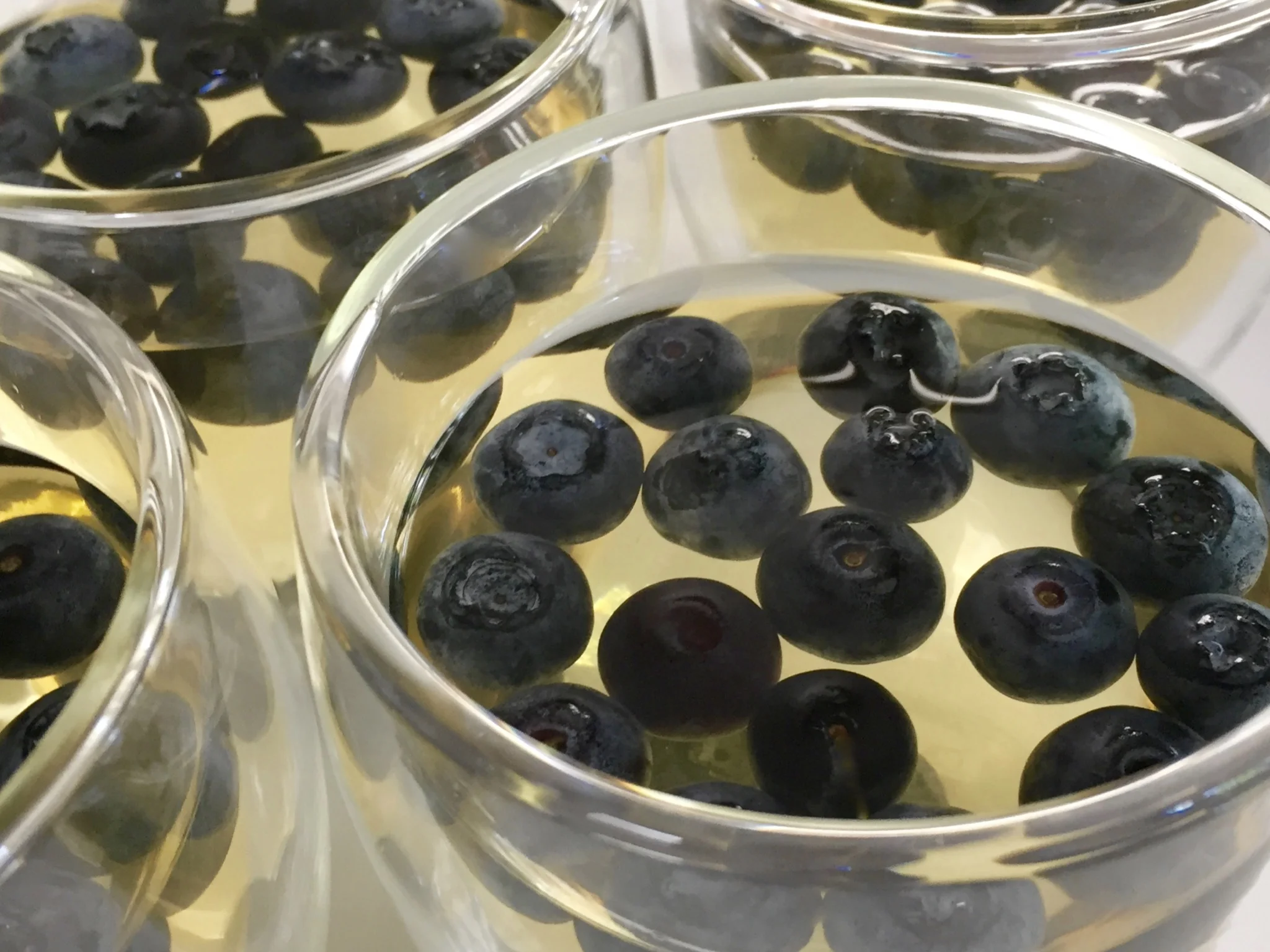 elderflower and blueberry jelly