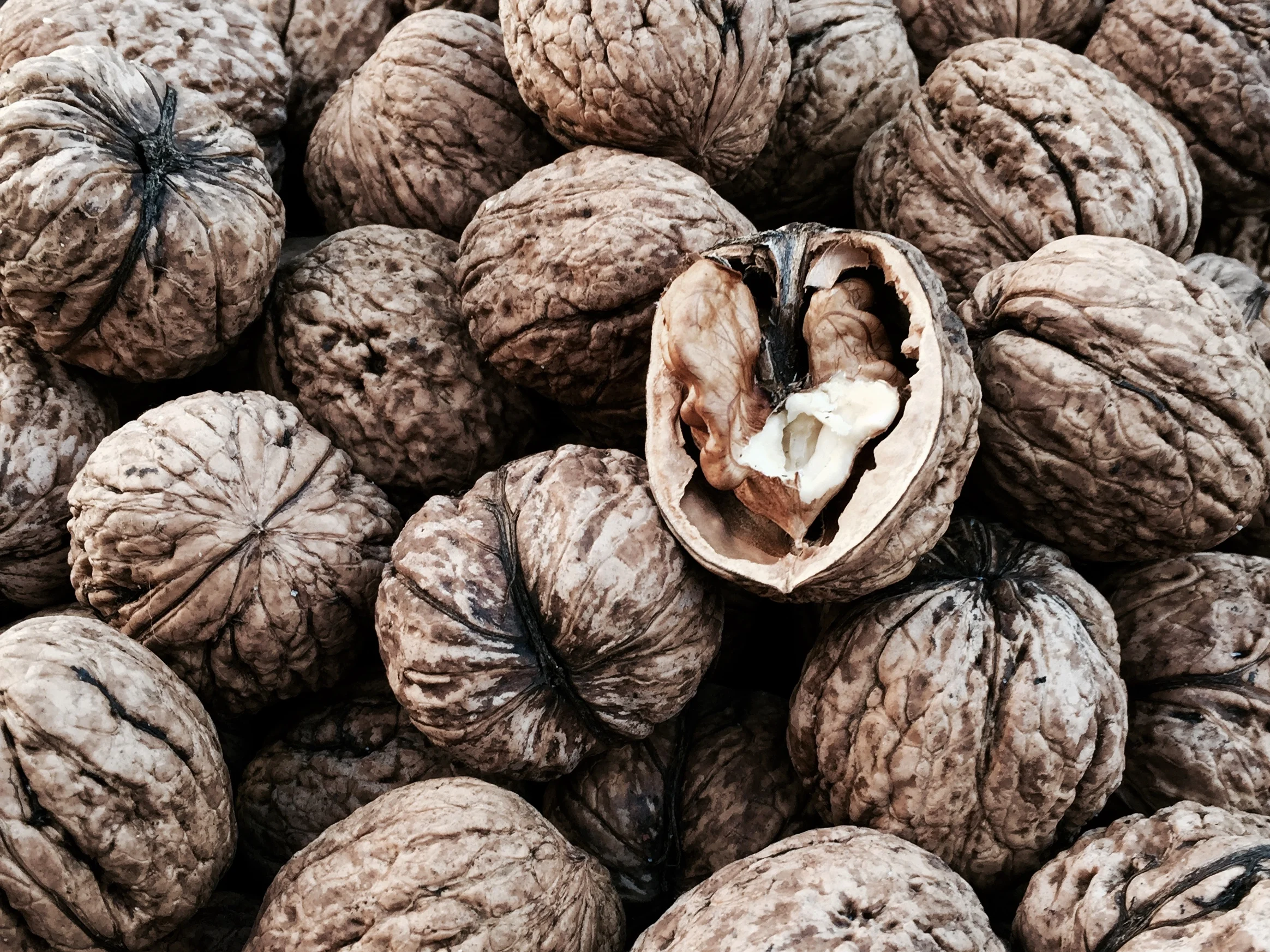walnuts