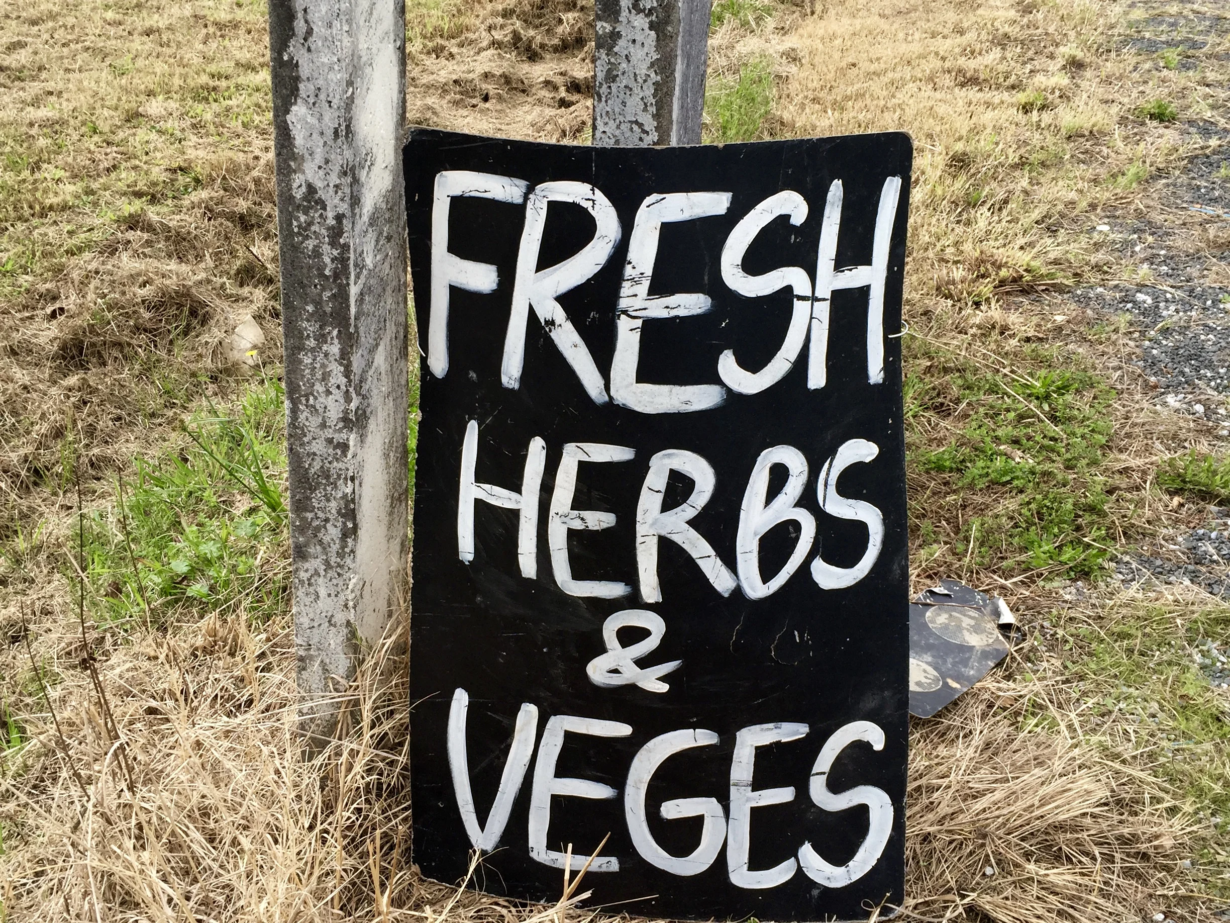 fresh herbs and veges