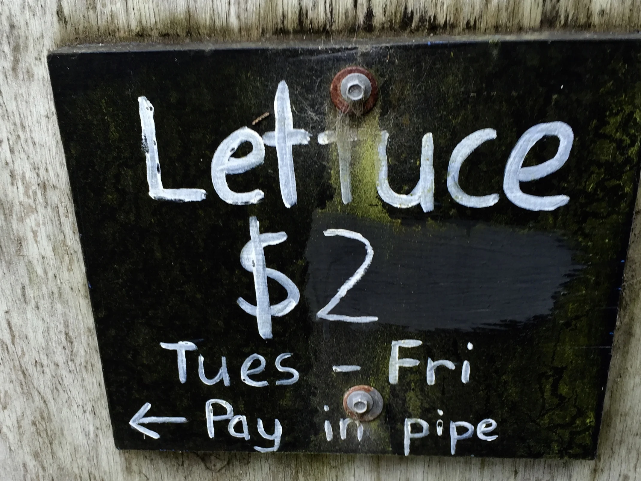 lettuce sign
