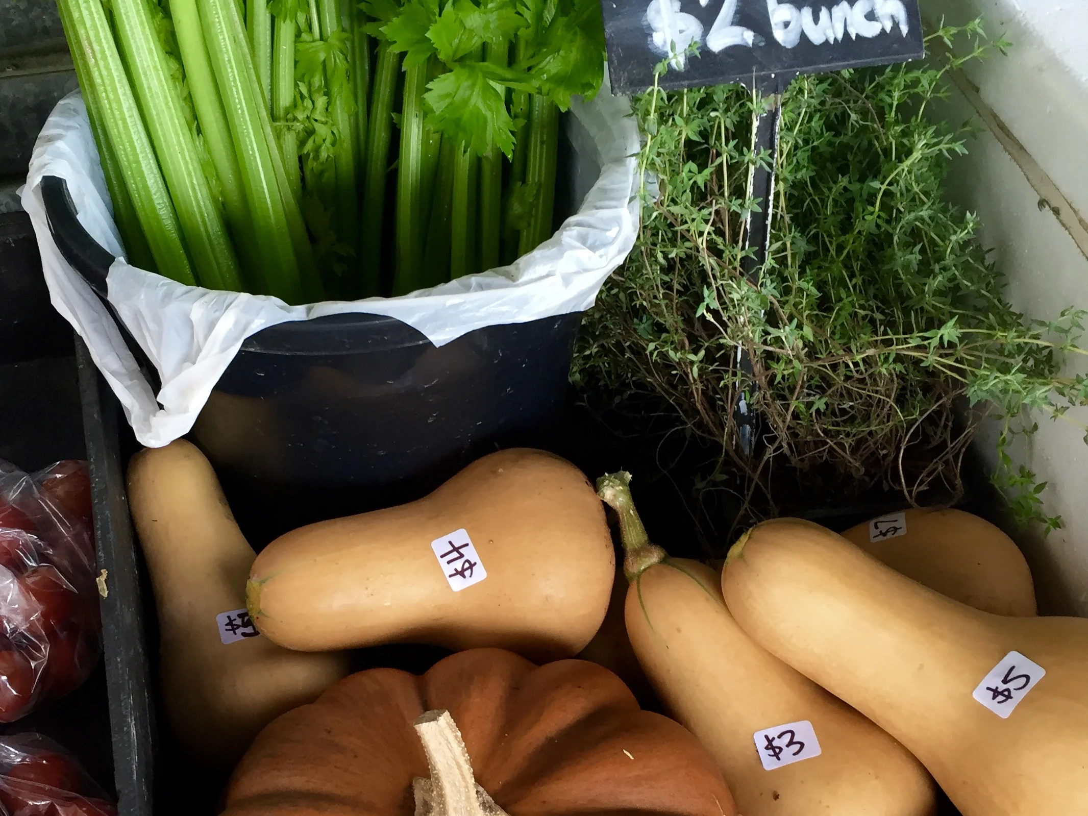 butternut pumpkin