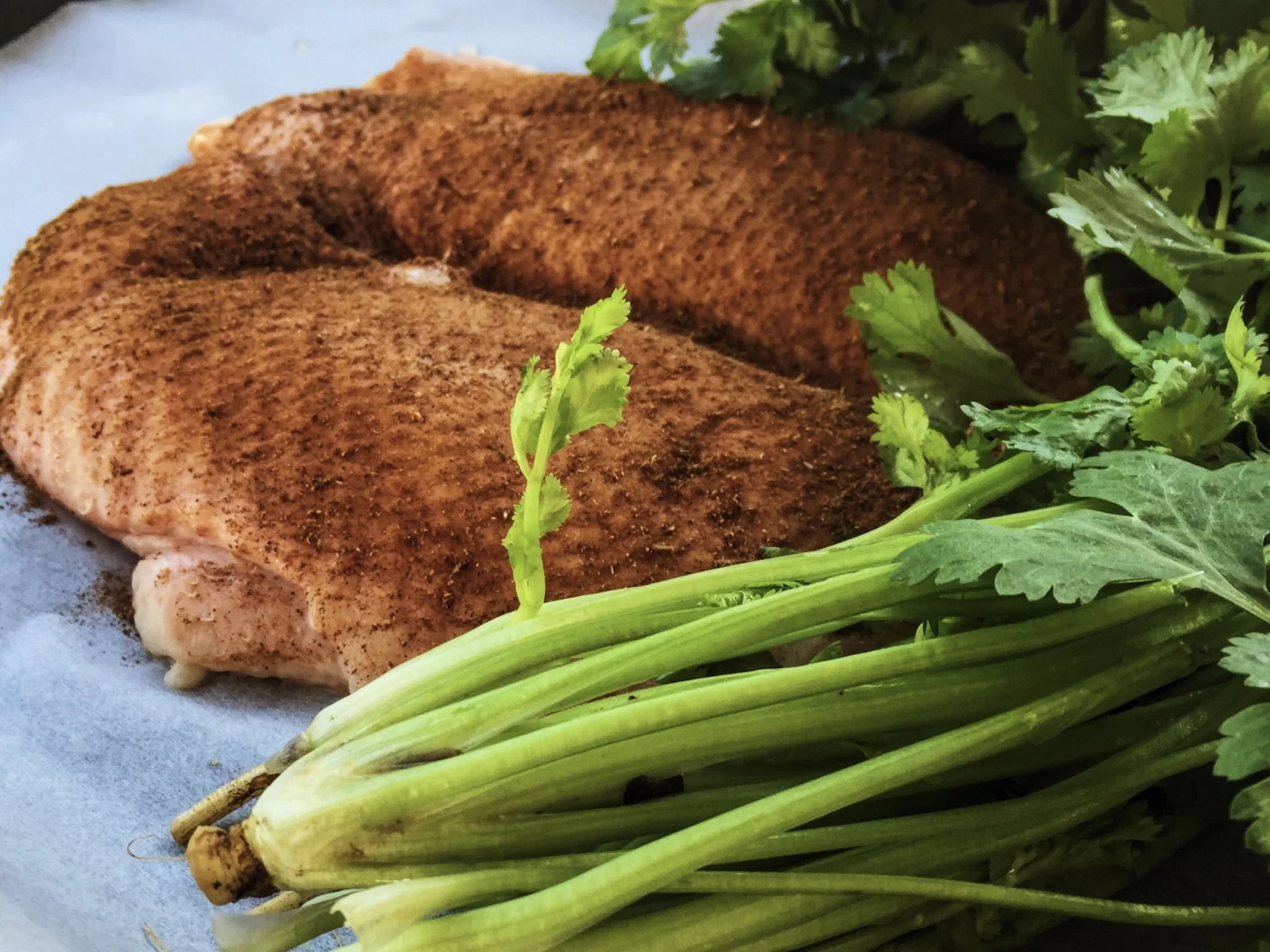duck breast
