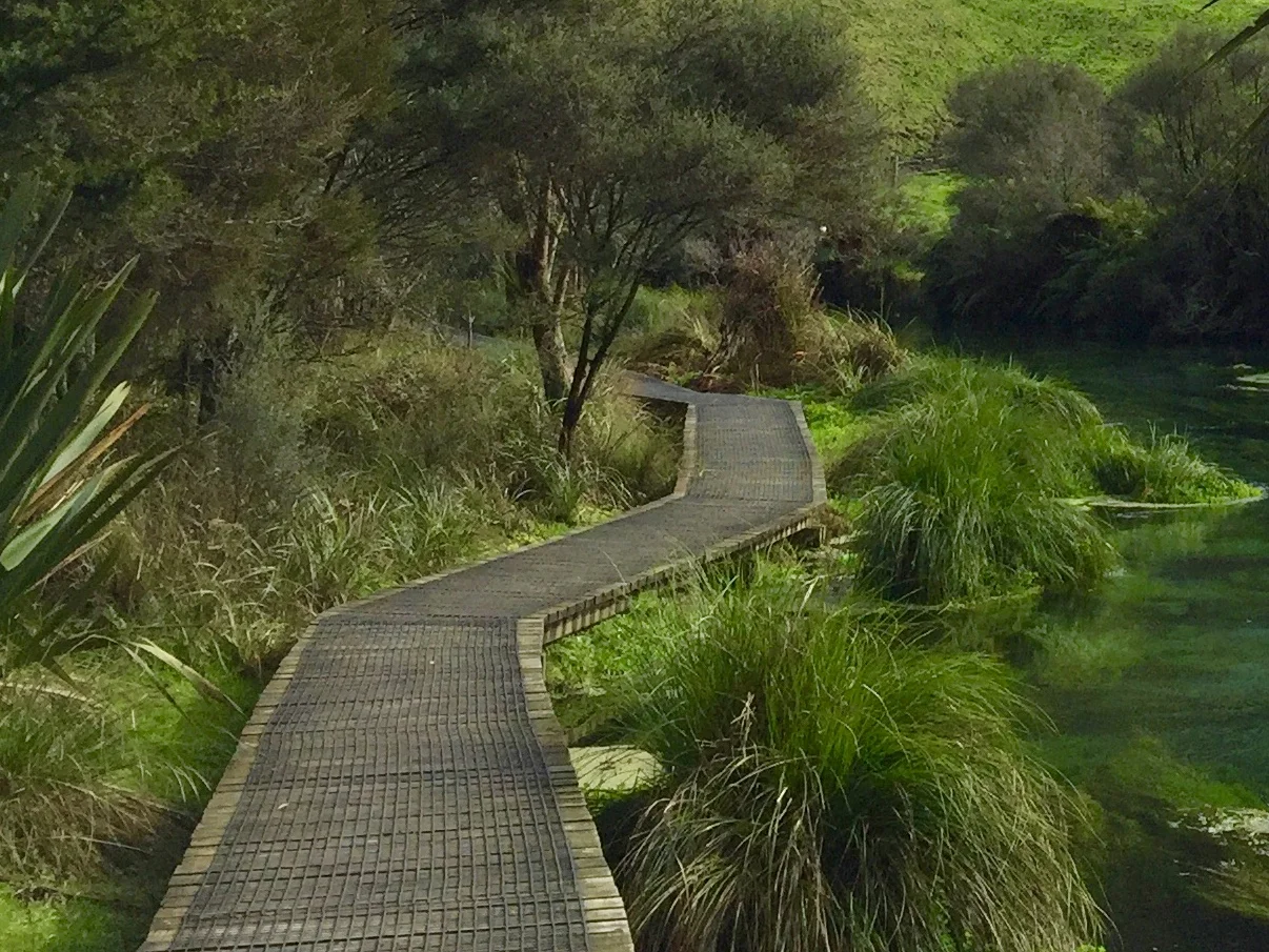 Te Waihou Walkway