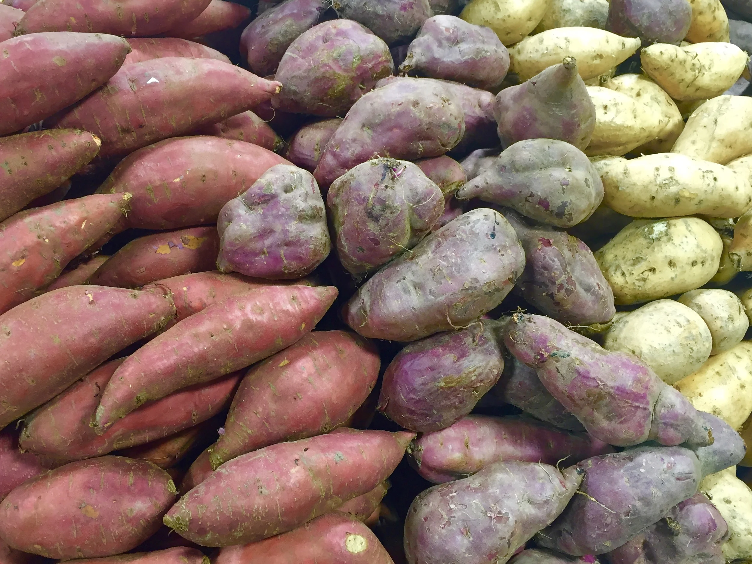 kumara