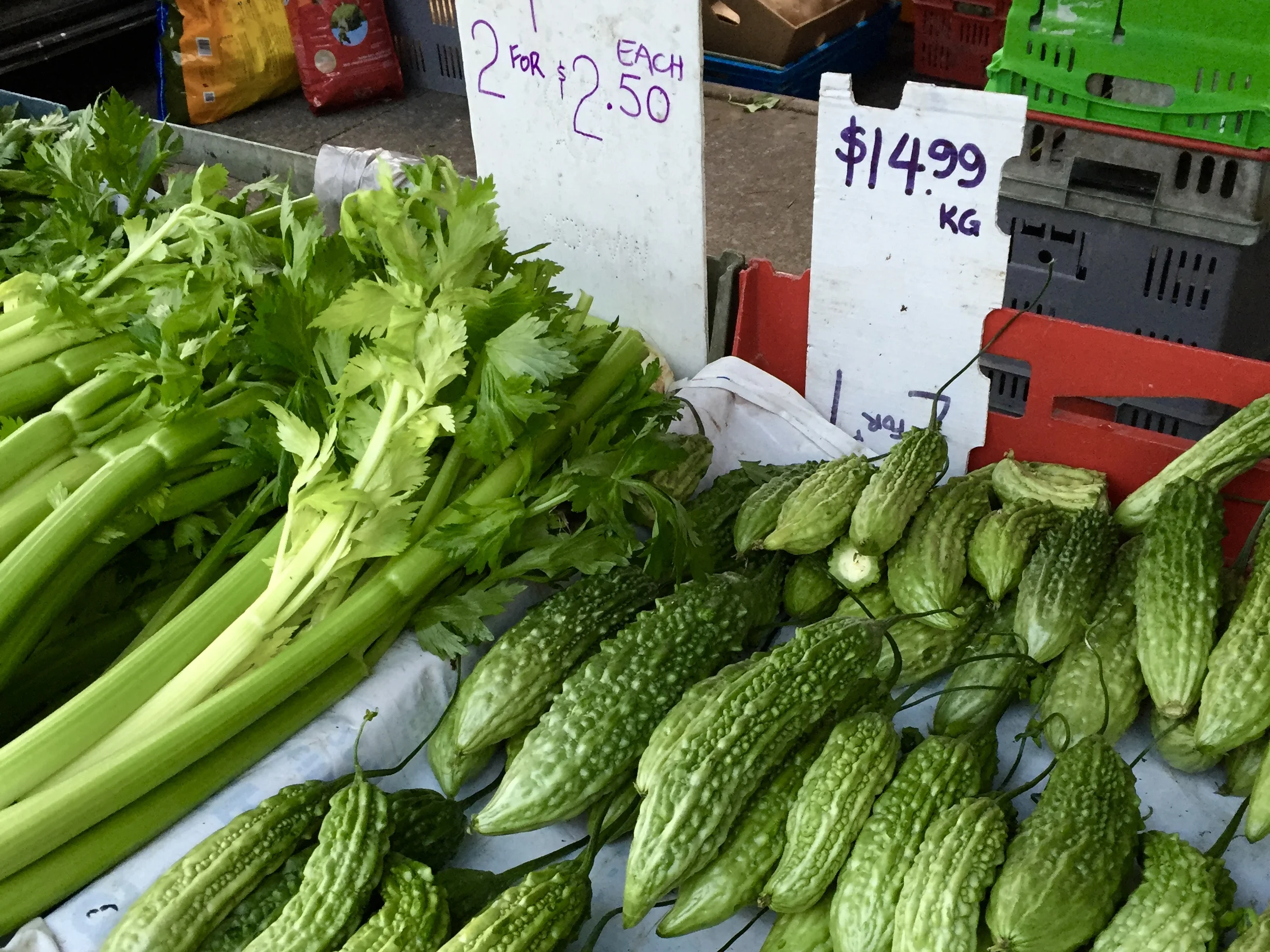Avondale Sunday Market