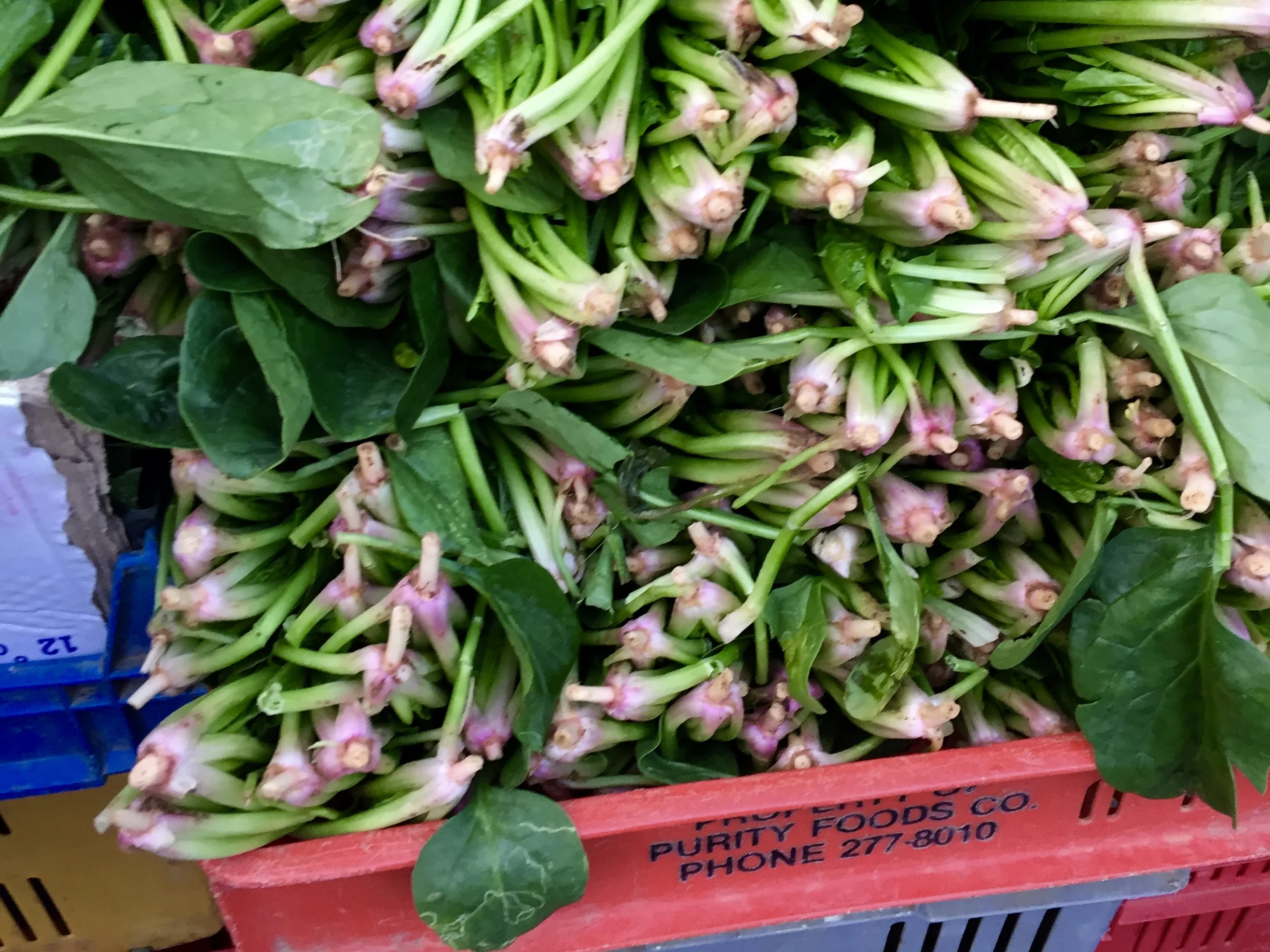 Avondale Sunday Market