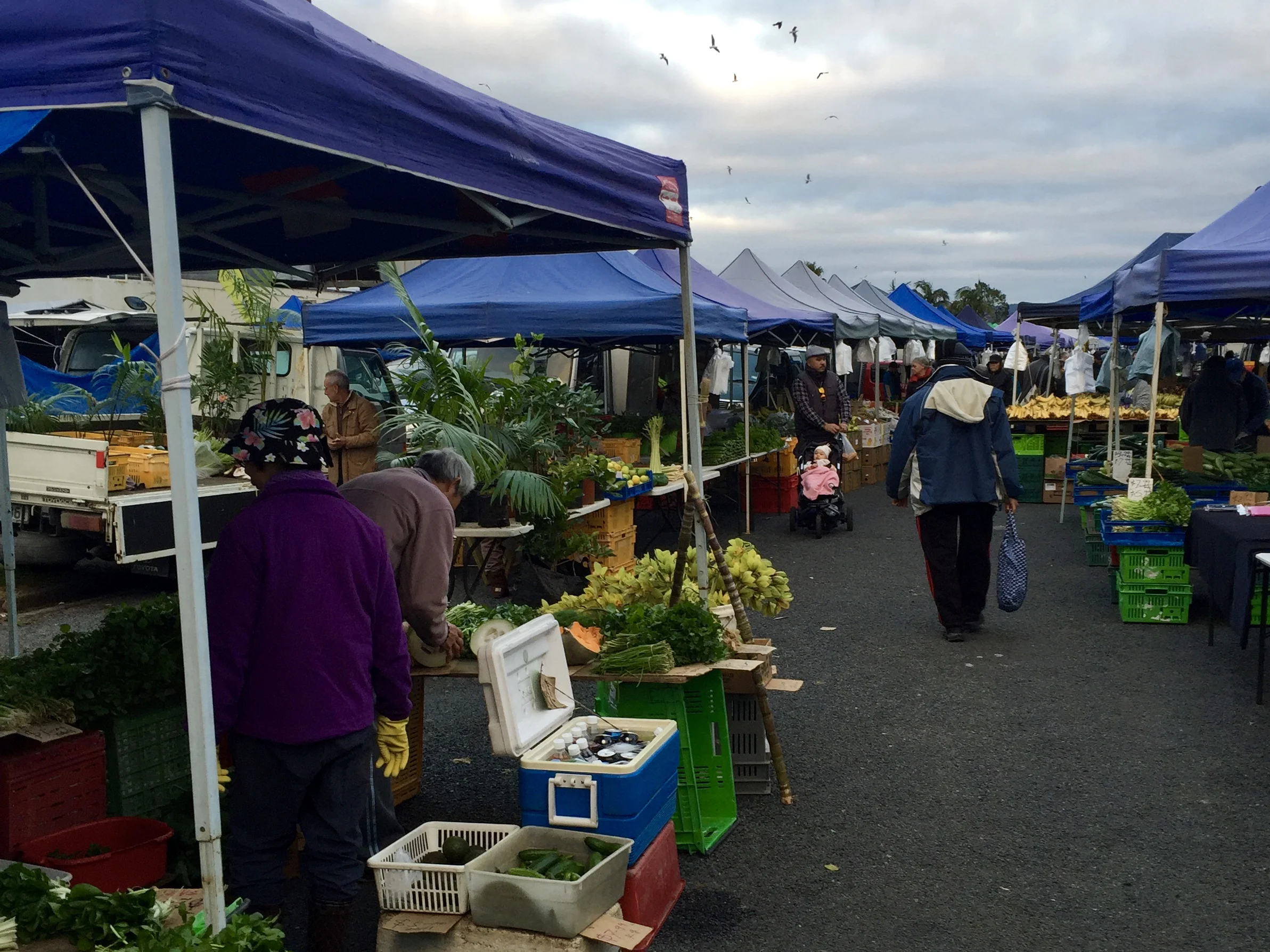 Avondale Sunday Market