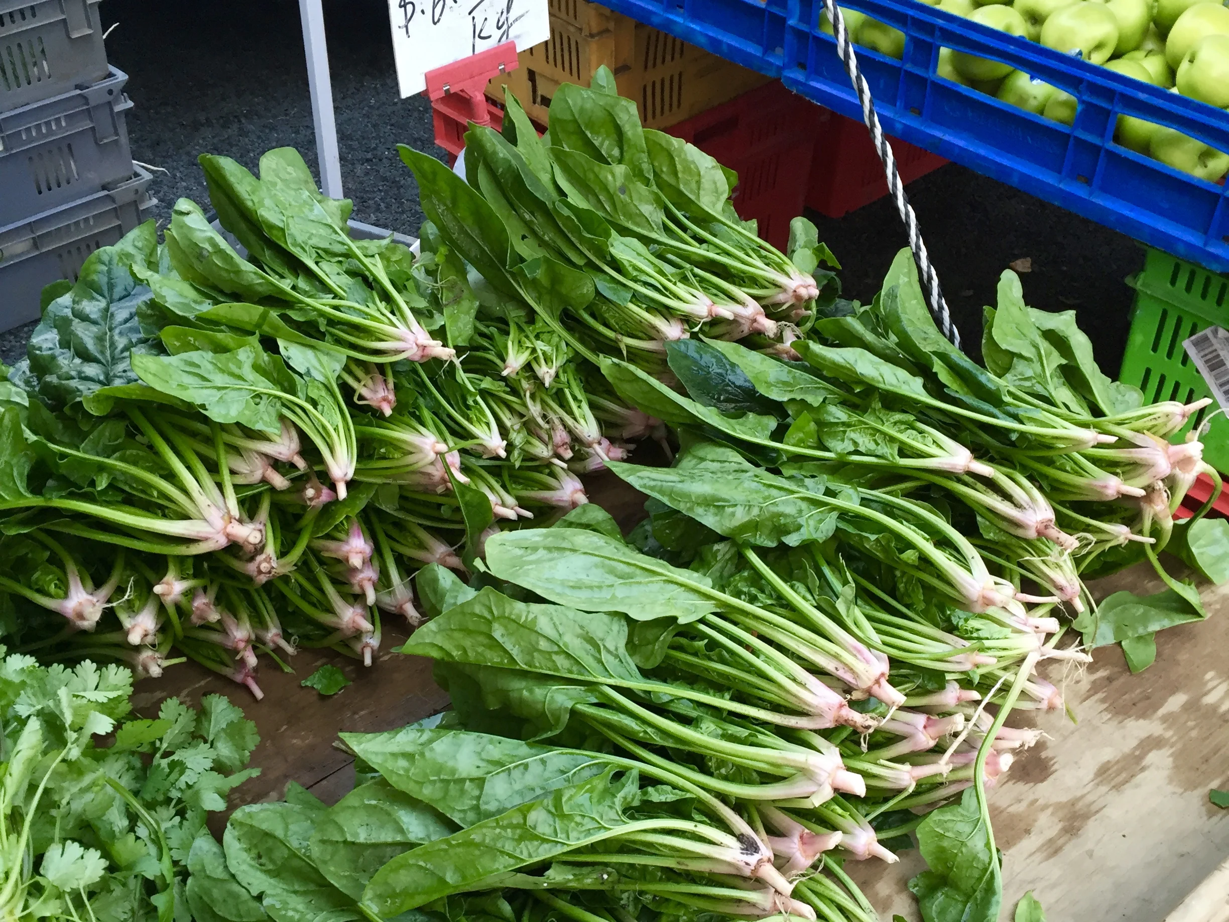 Avondale Sunday Market