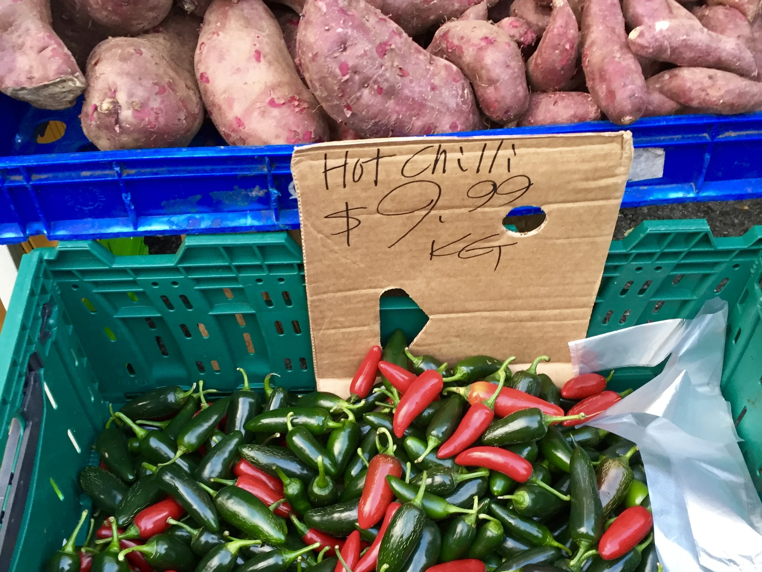 Avondale Sunday Market