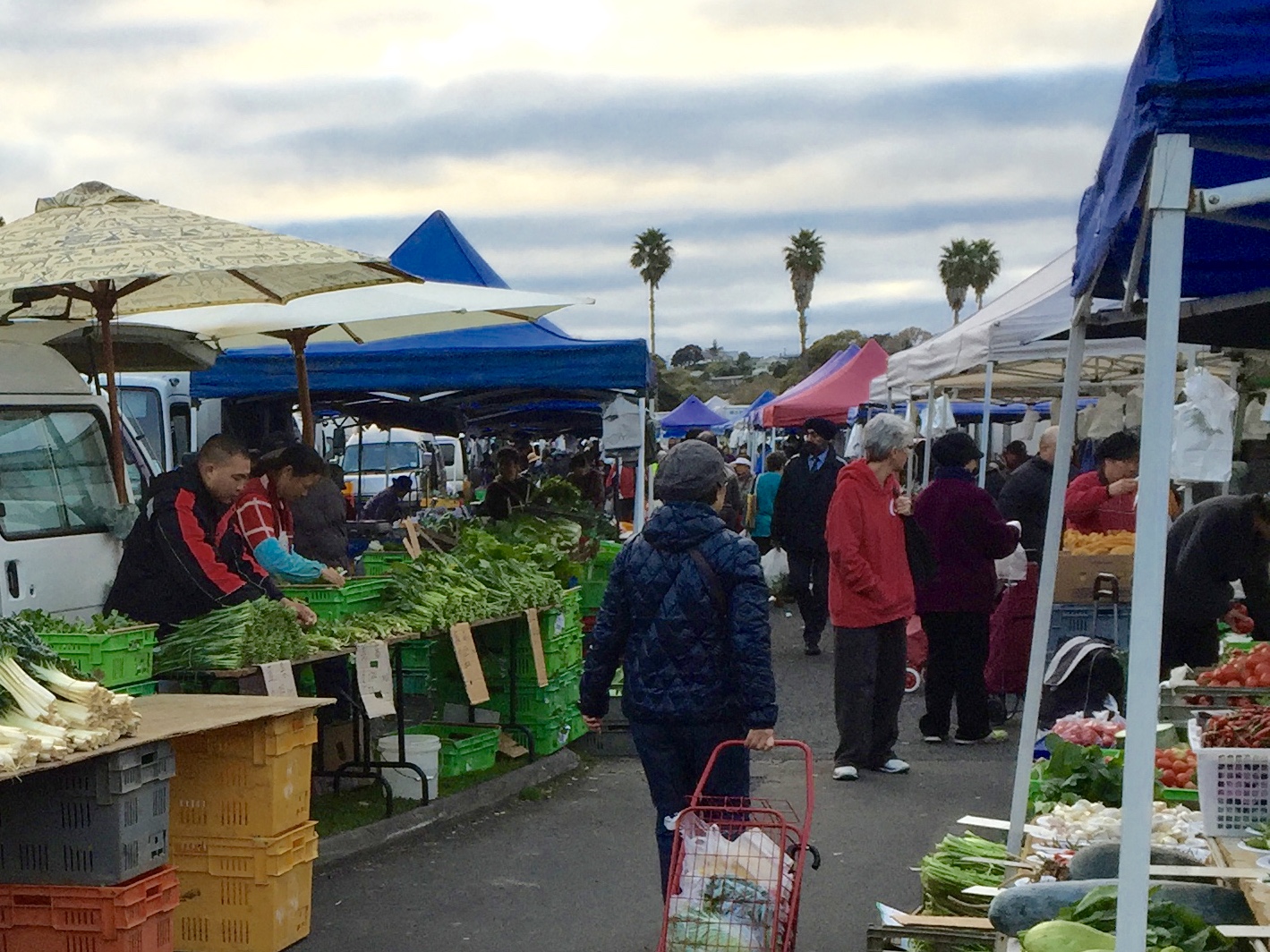 Avondale Sunday Market