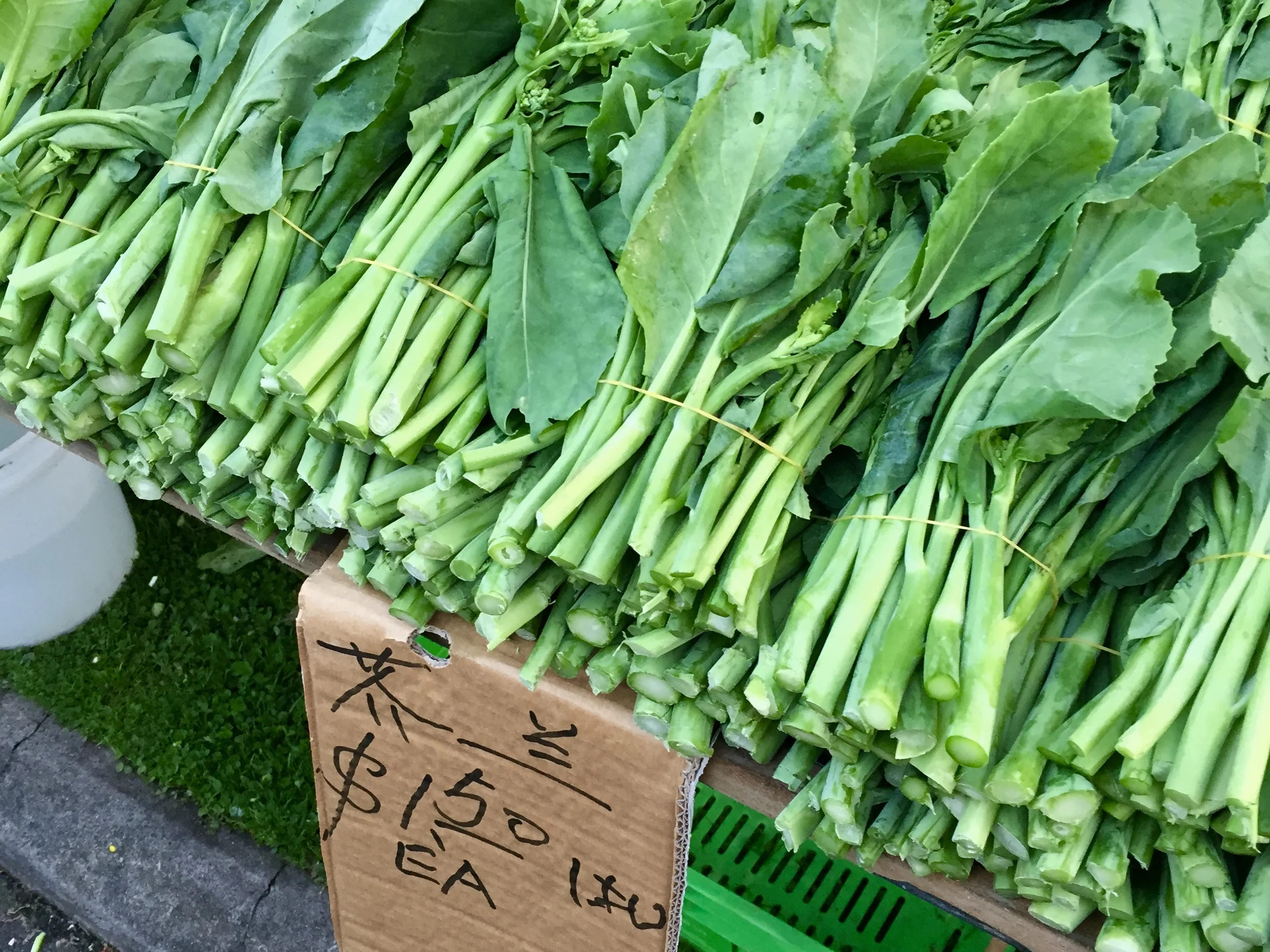 Avondale Sunday Market