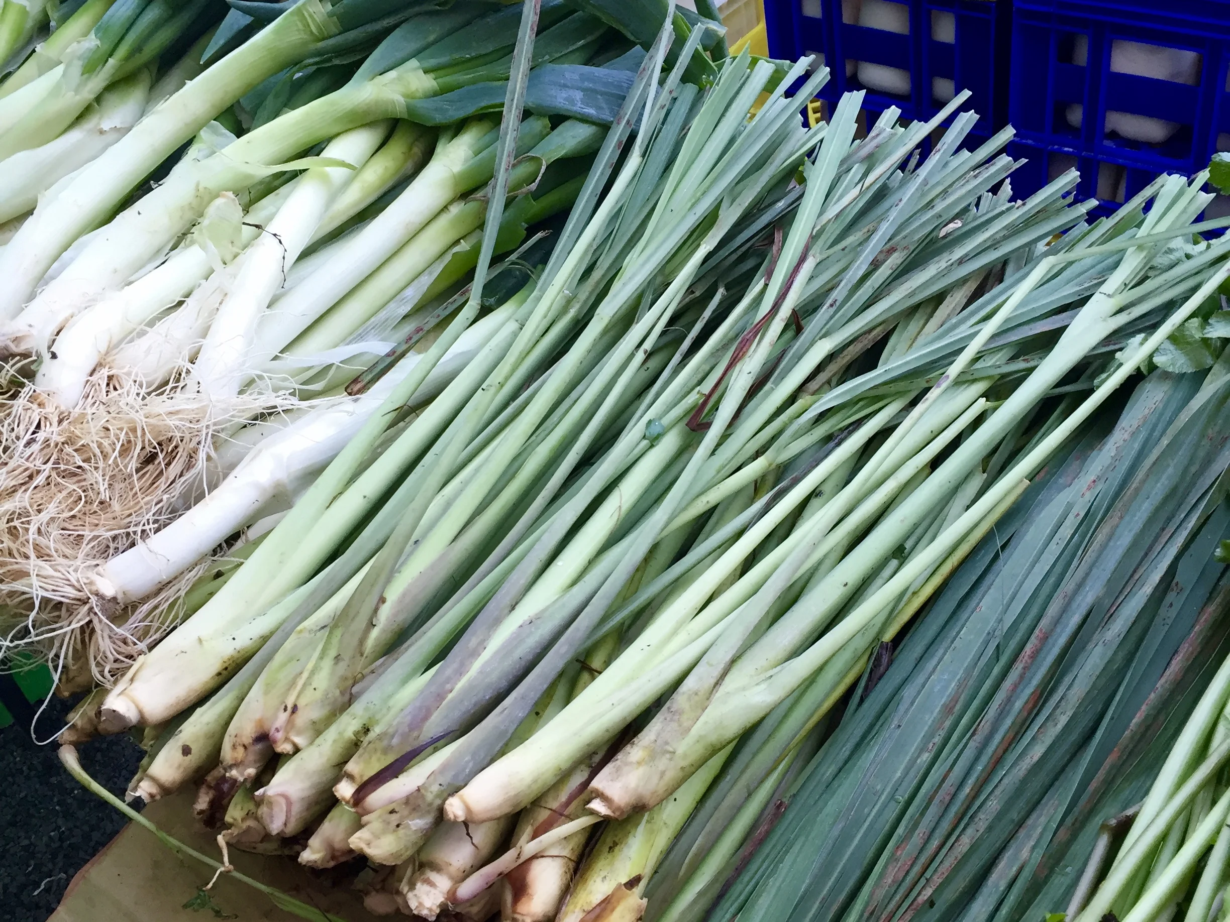 Avondale Sunday Market