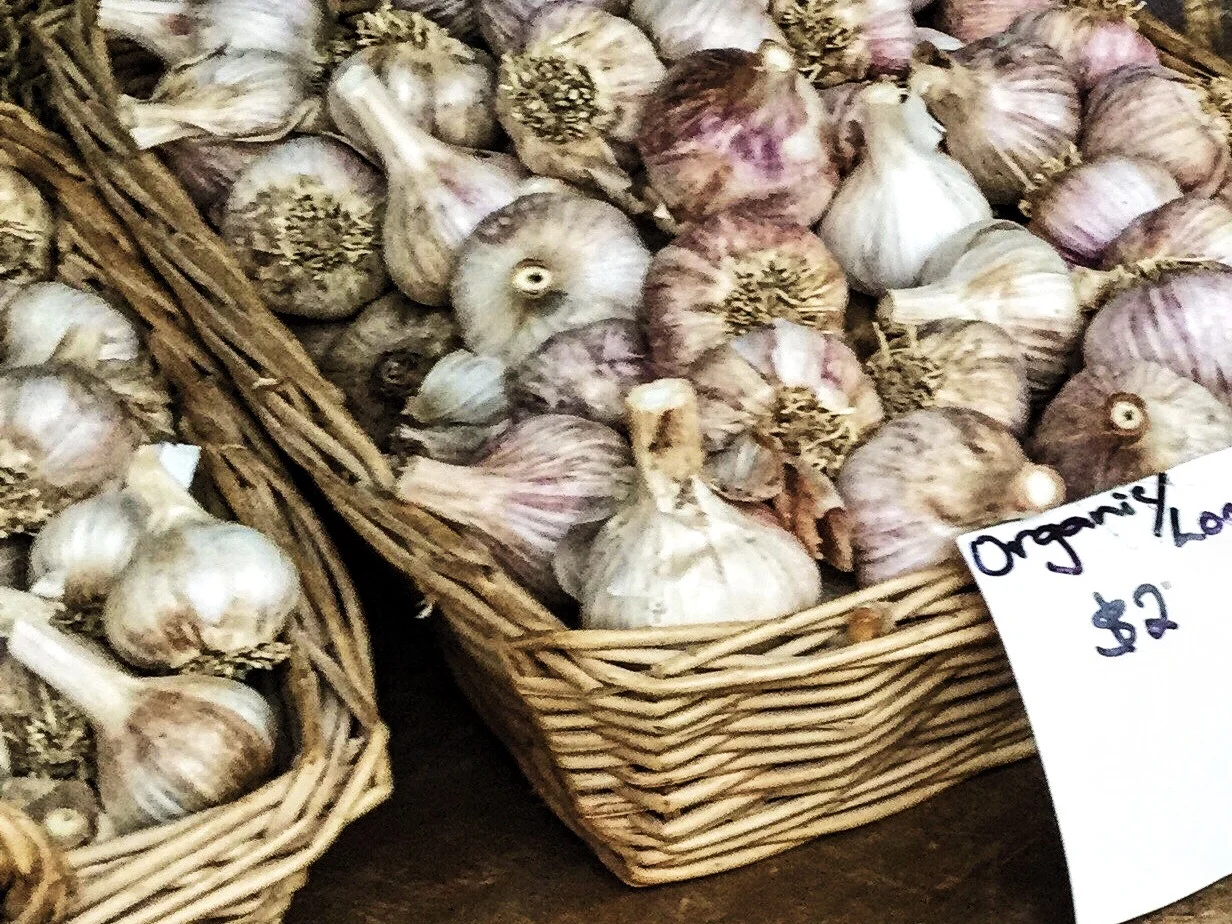 Matakana Village Farmers Market