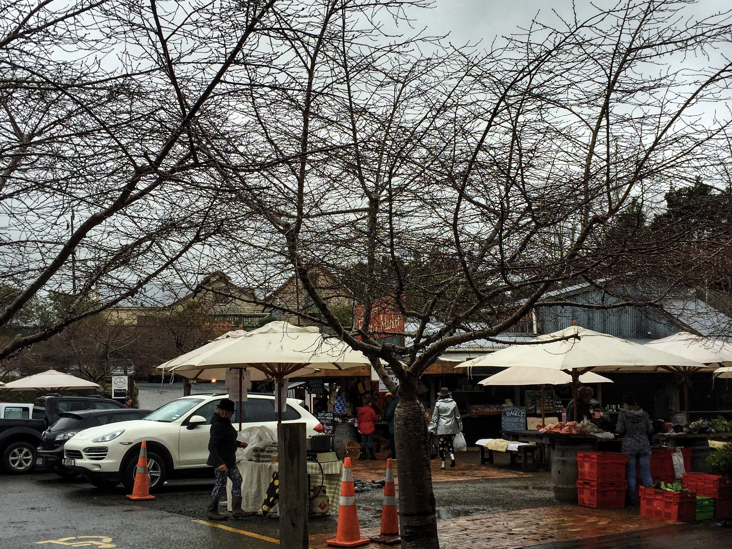 Matakana Village Farmers Market