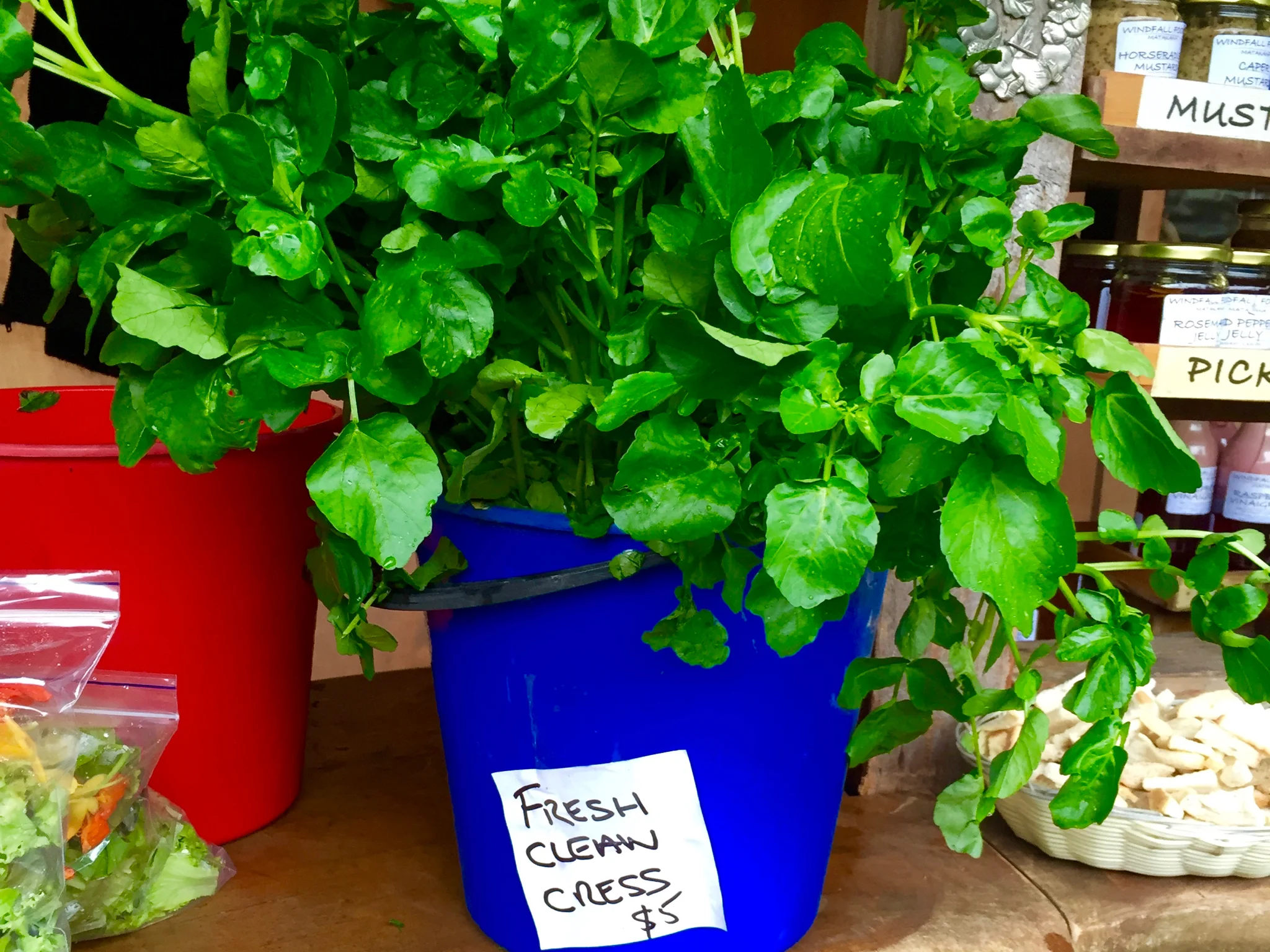 Matakana Village Farmers Market