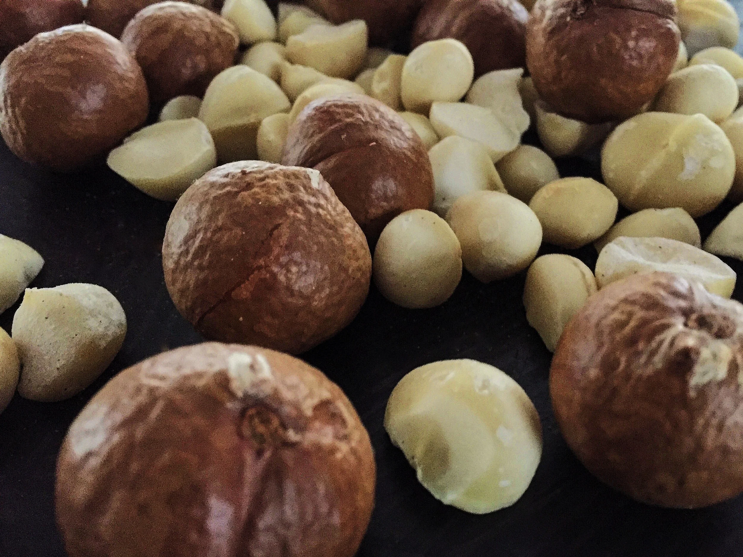 macadamias
