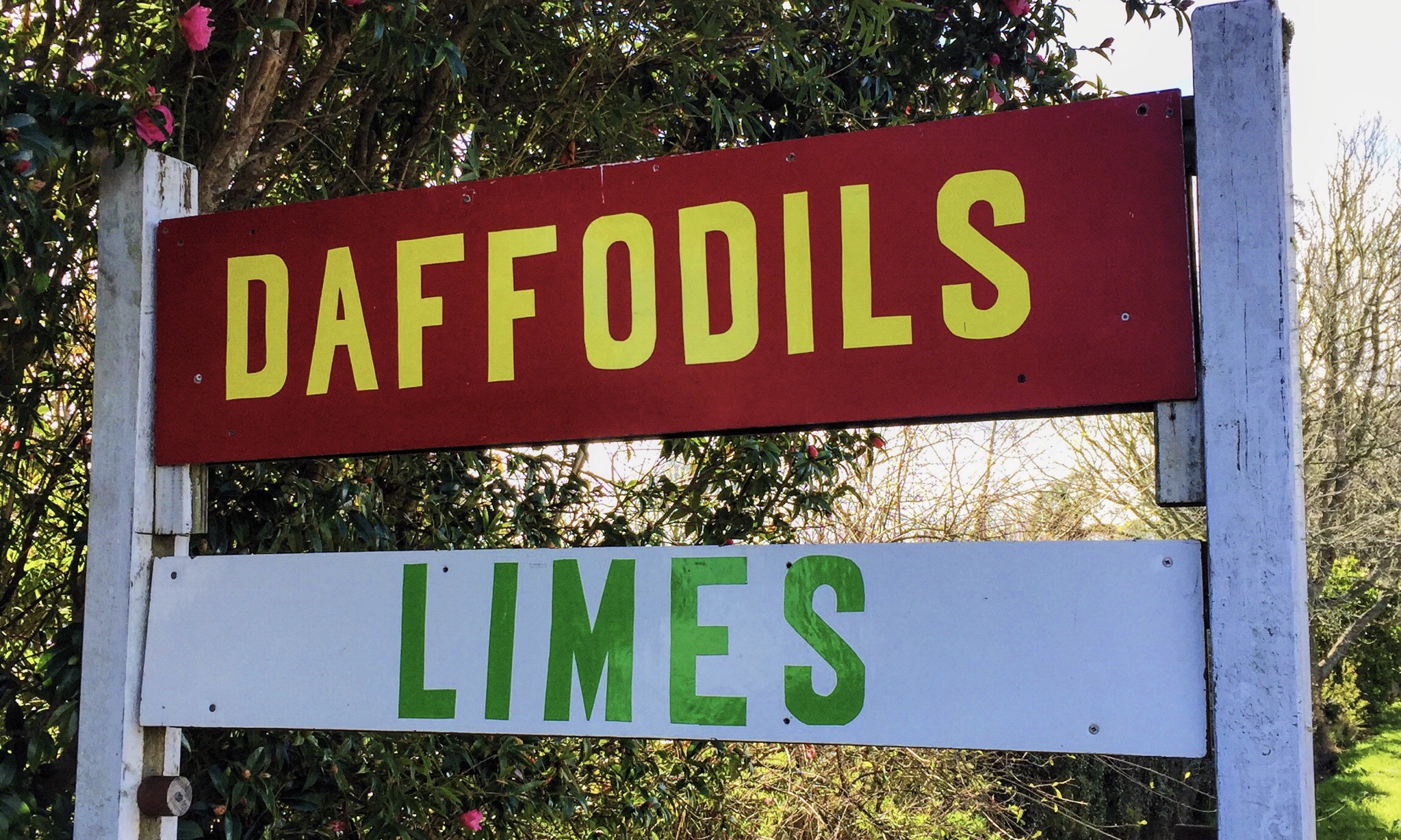north-west Auckland food trail