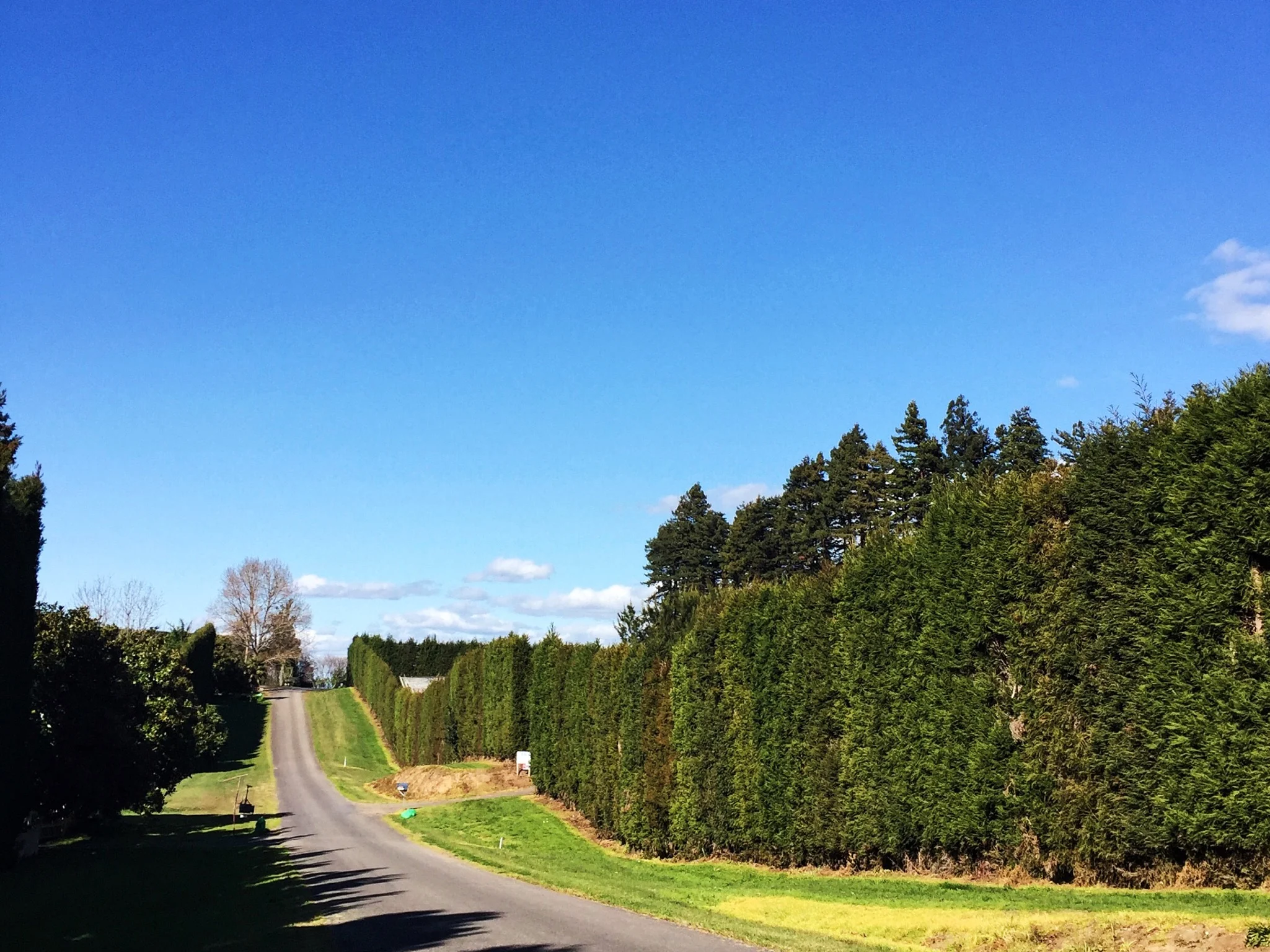 Katikati food trail