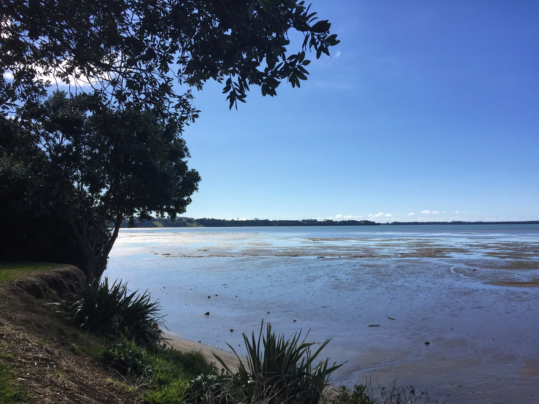 Katikati food trail