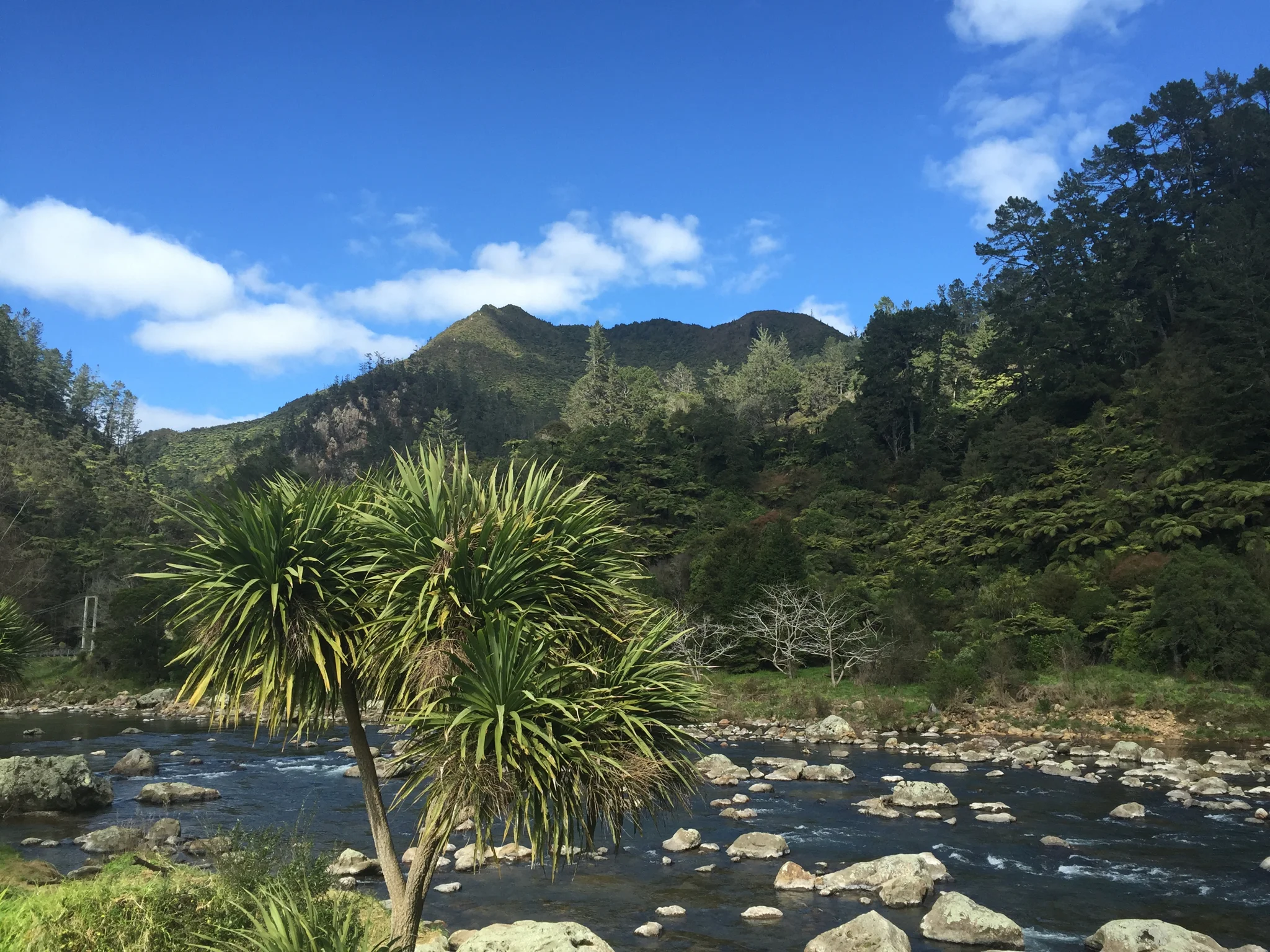 Katikati food trail