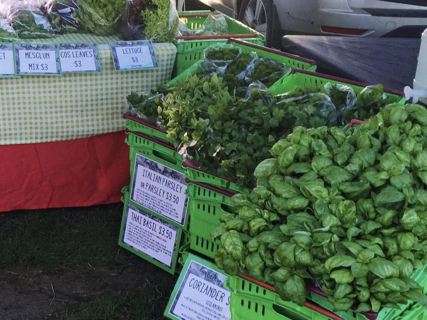 Katikati food trail
