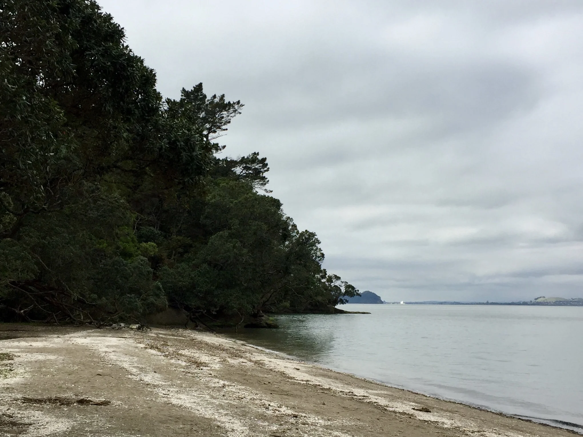 West Auckland food trail