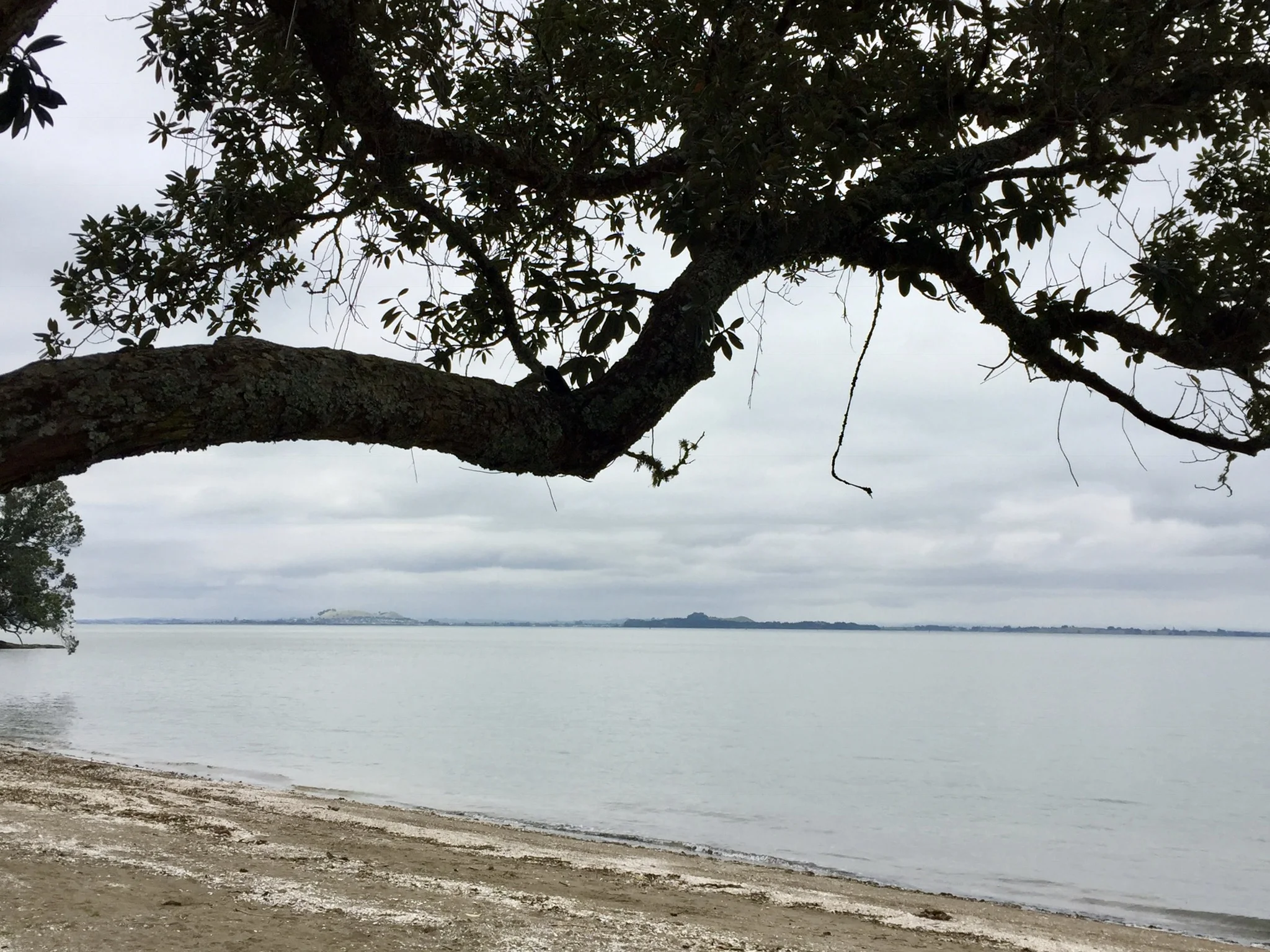 West Auckland food trail