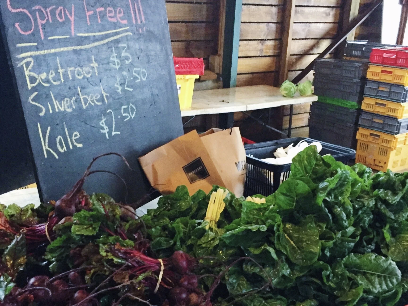 Hamilton Farmers Market