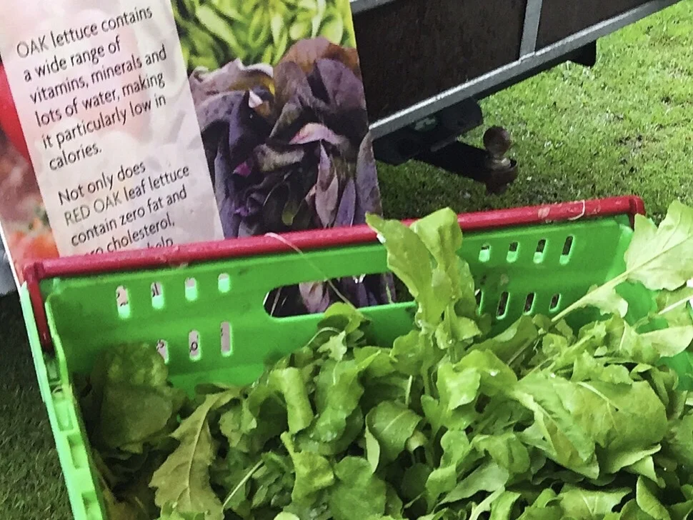 Hamilton Farmers Market