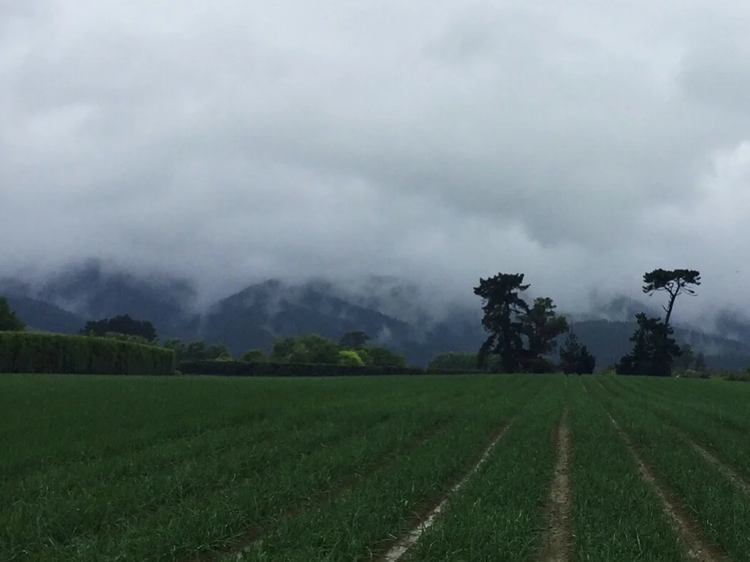 Horowhenua food trail
