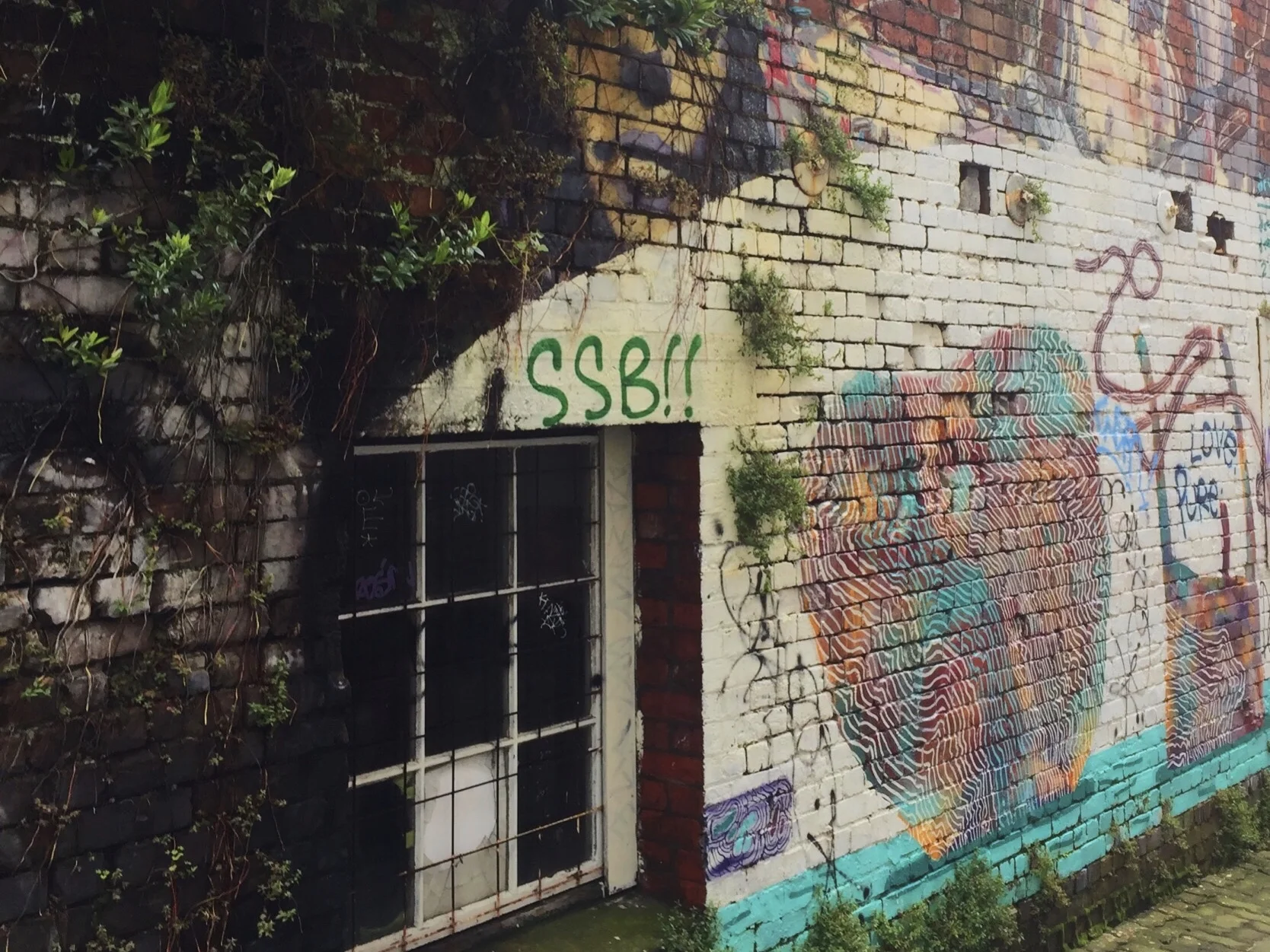Wellington food trail