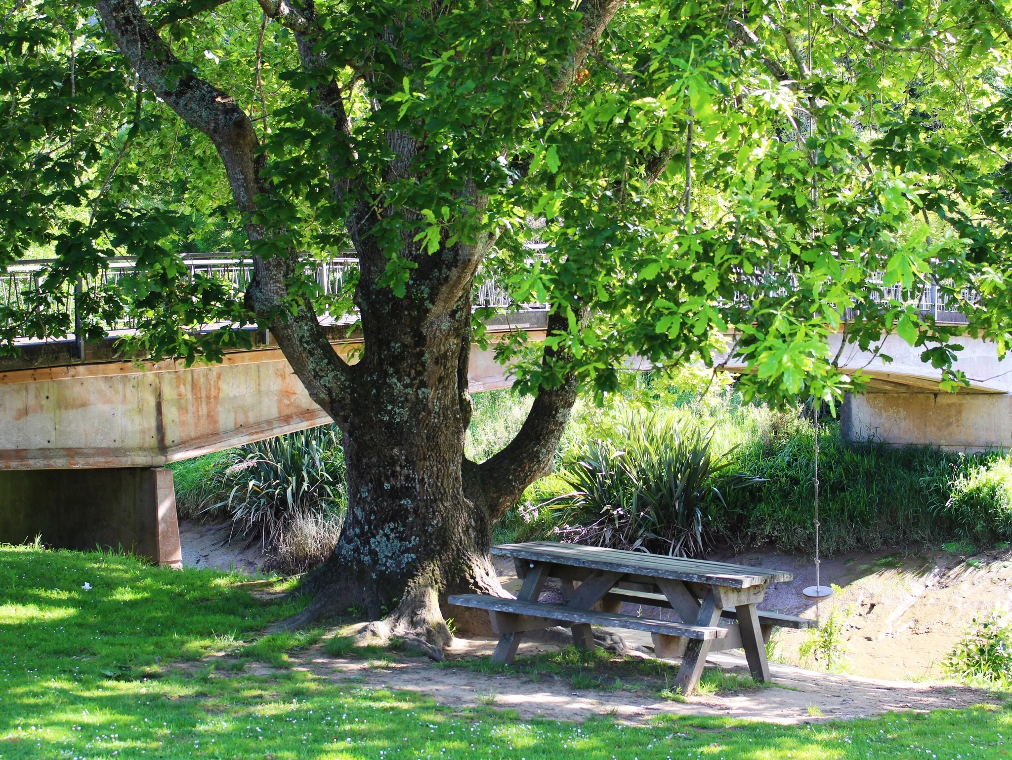 Puhoi food trail
