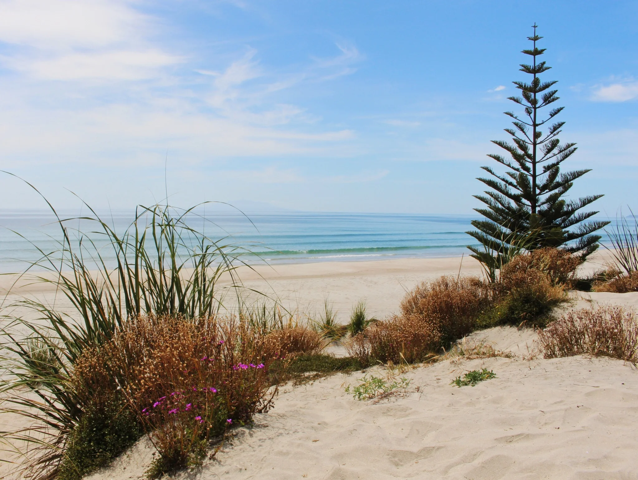 Mangawhai Te Arai beach