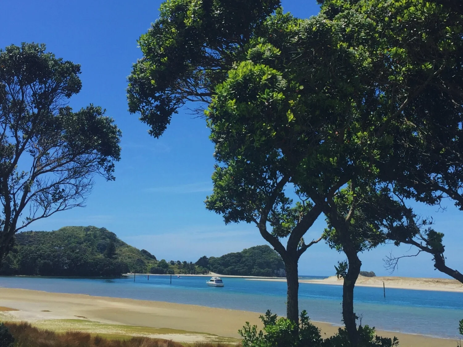 Mangawhai estuary
