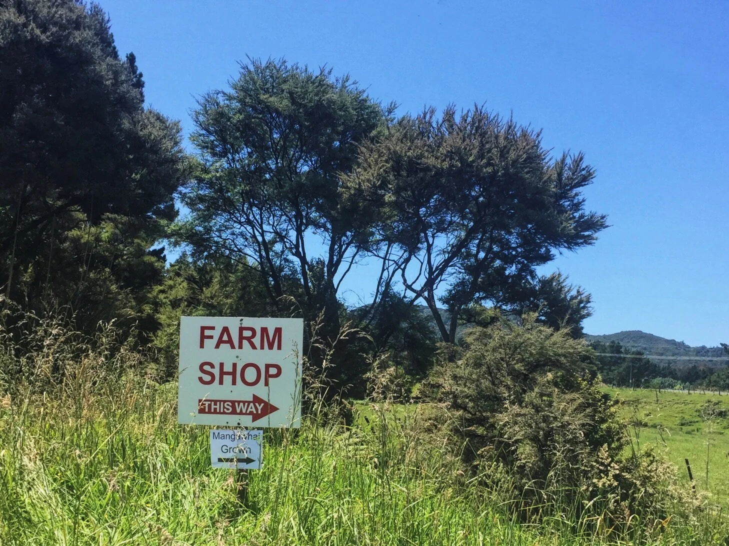 Mangawhai food trail
