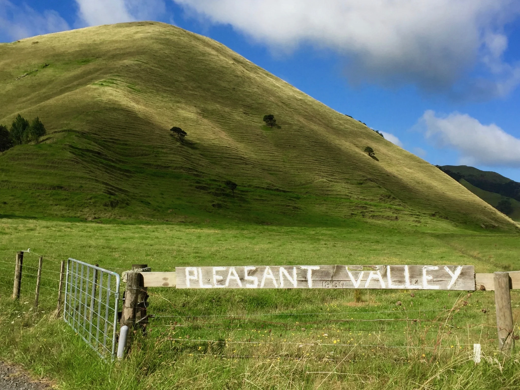Pleasant Valley Blueberries