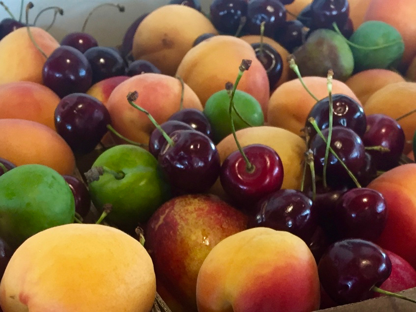 Central Otago stone fruit