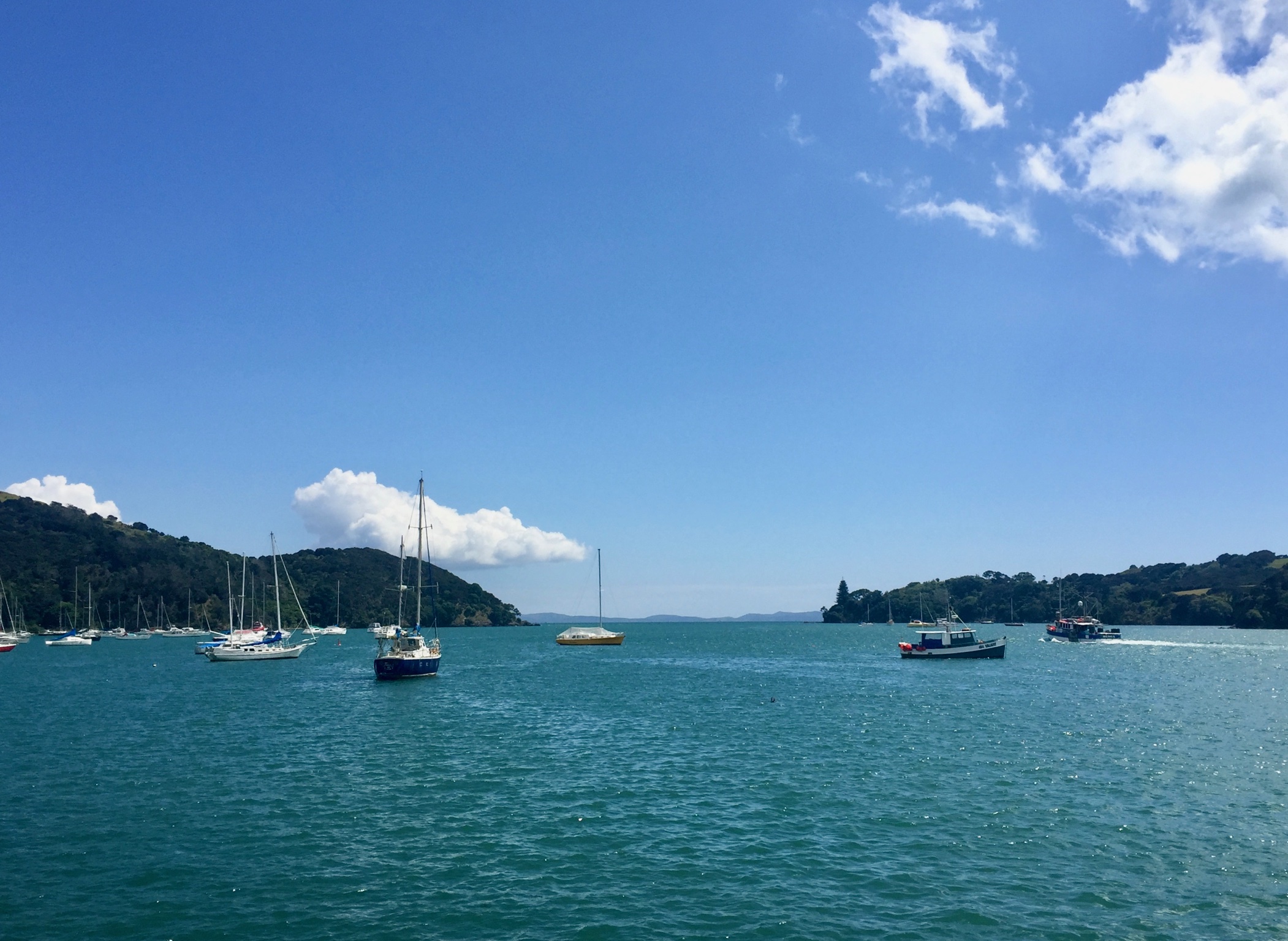 Mangonui Fish & Chippery