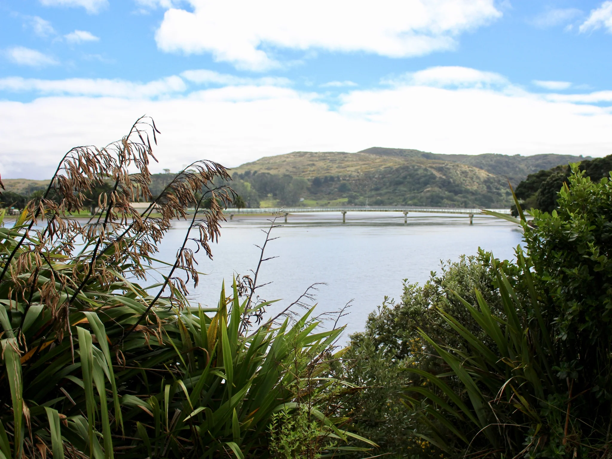 Raglan food trail